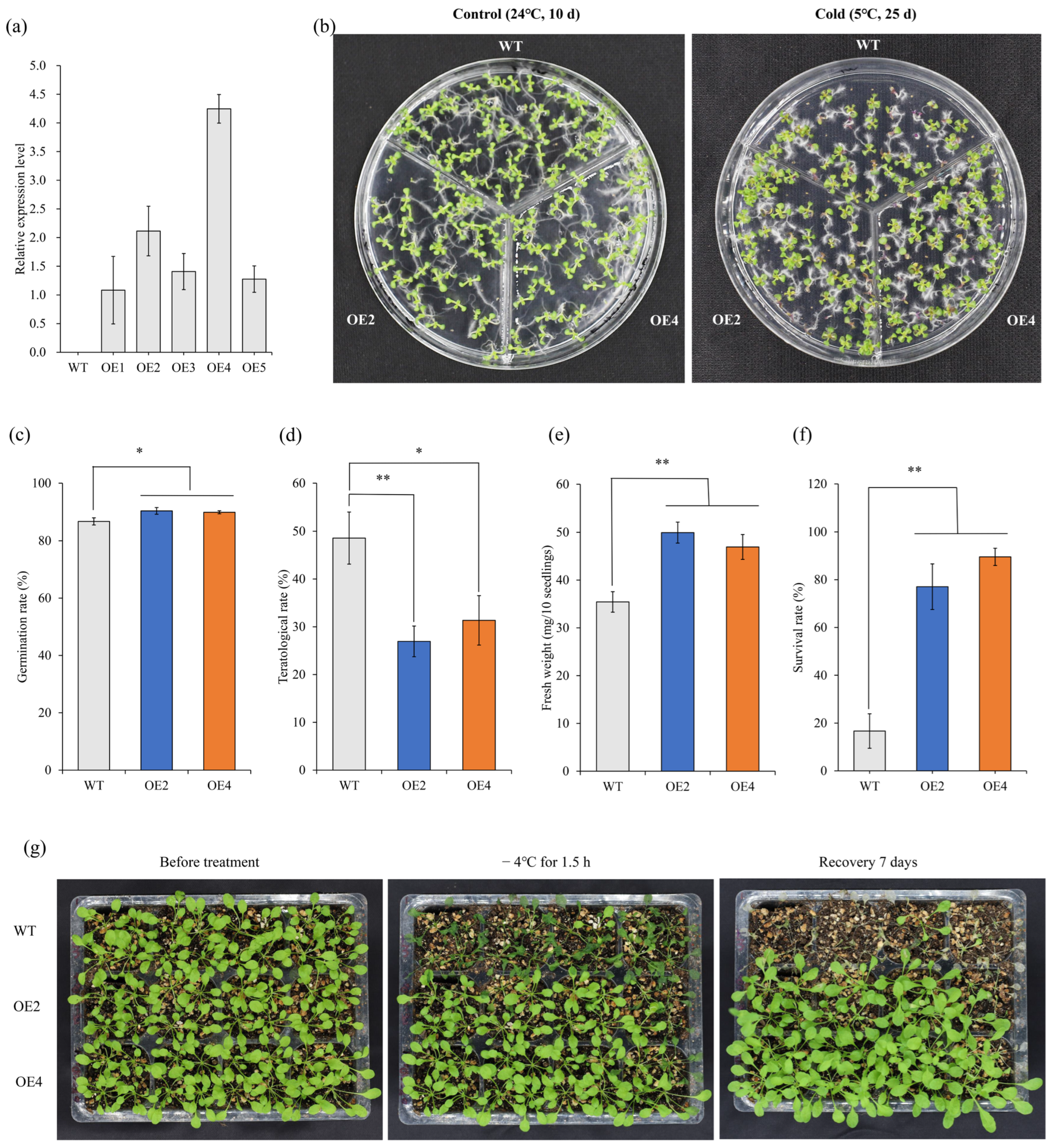 Plants 14 03591 g003 Plants 14 03591 g003