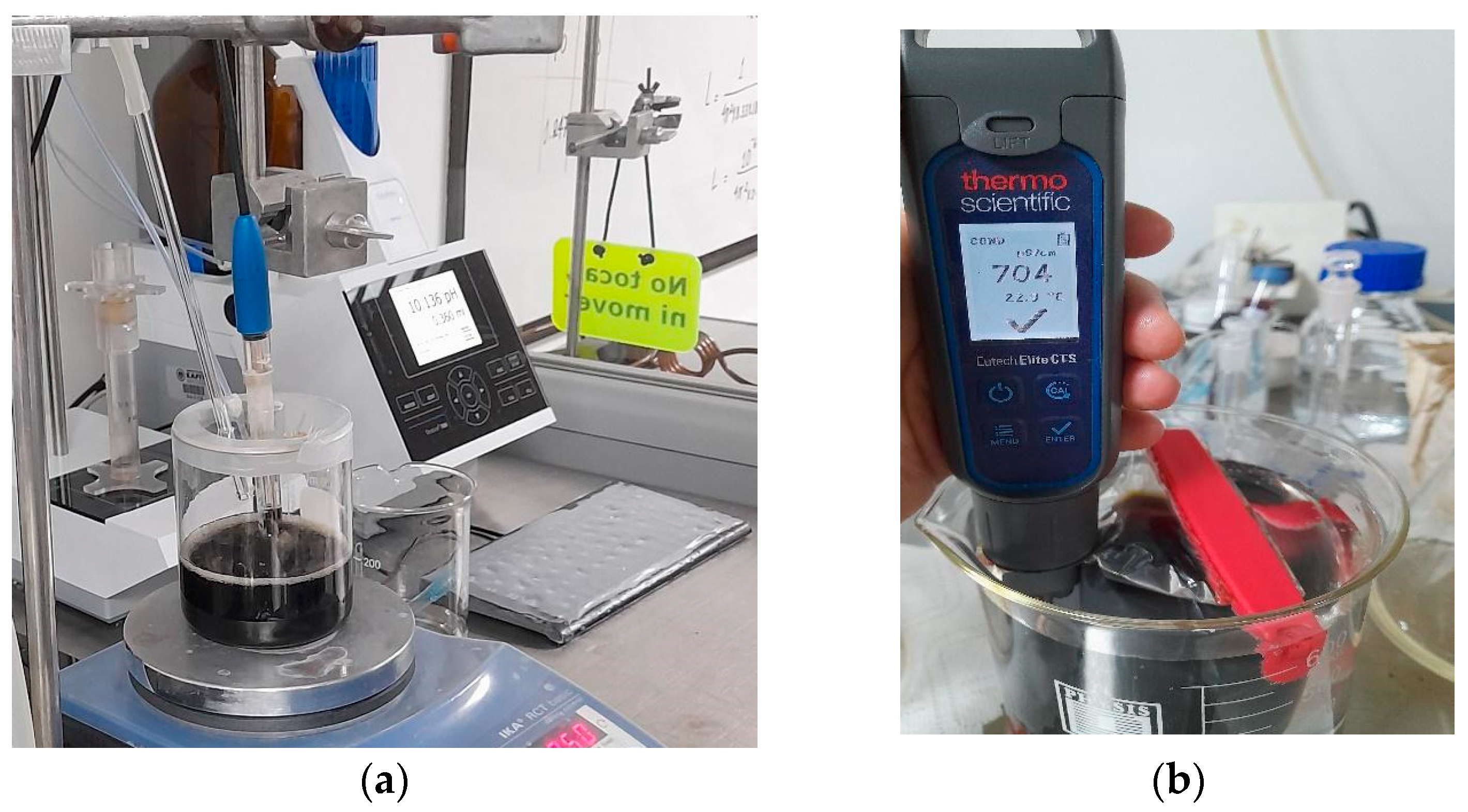 Plants 14 03592 g001