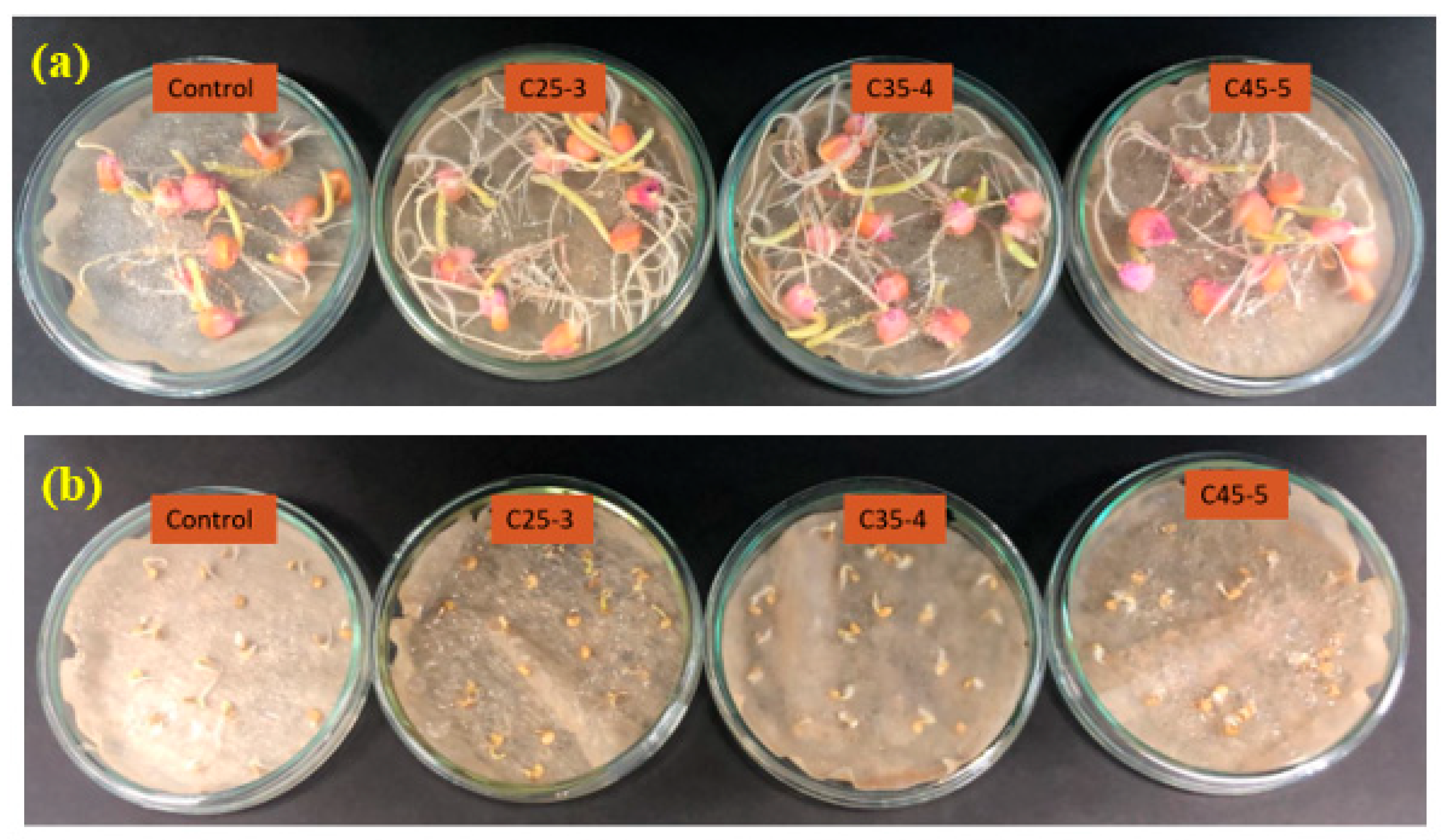 Plants 14 03592 g009