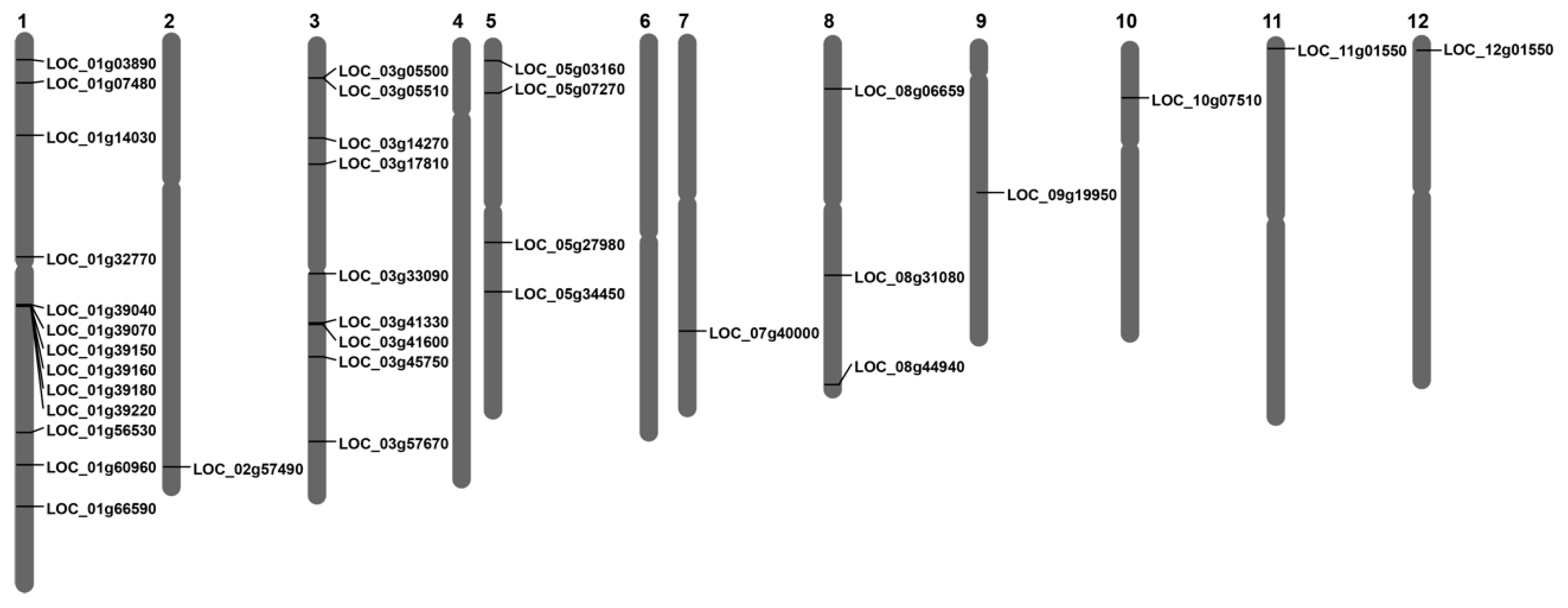 Plants 14 03596 g001