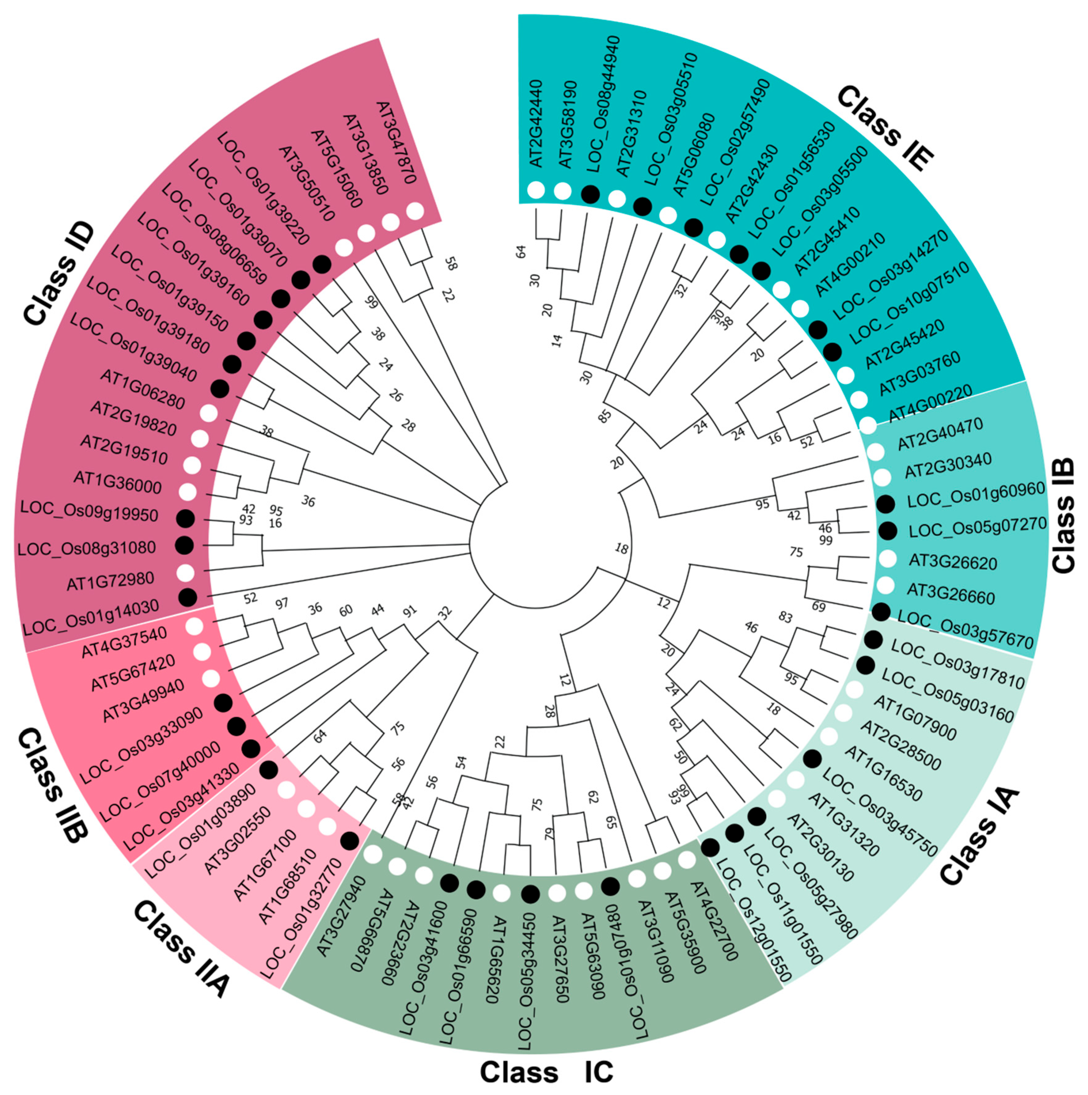 Plants 14 03596 g003