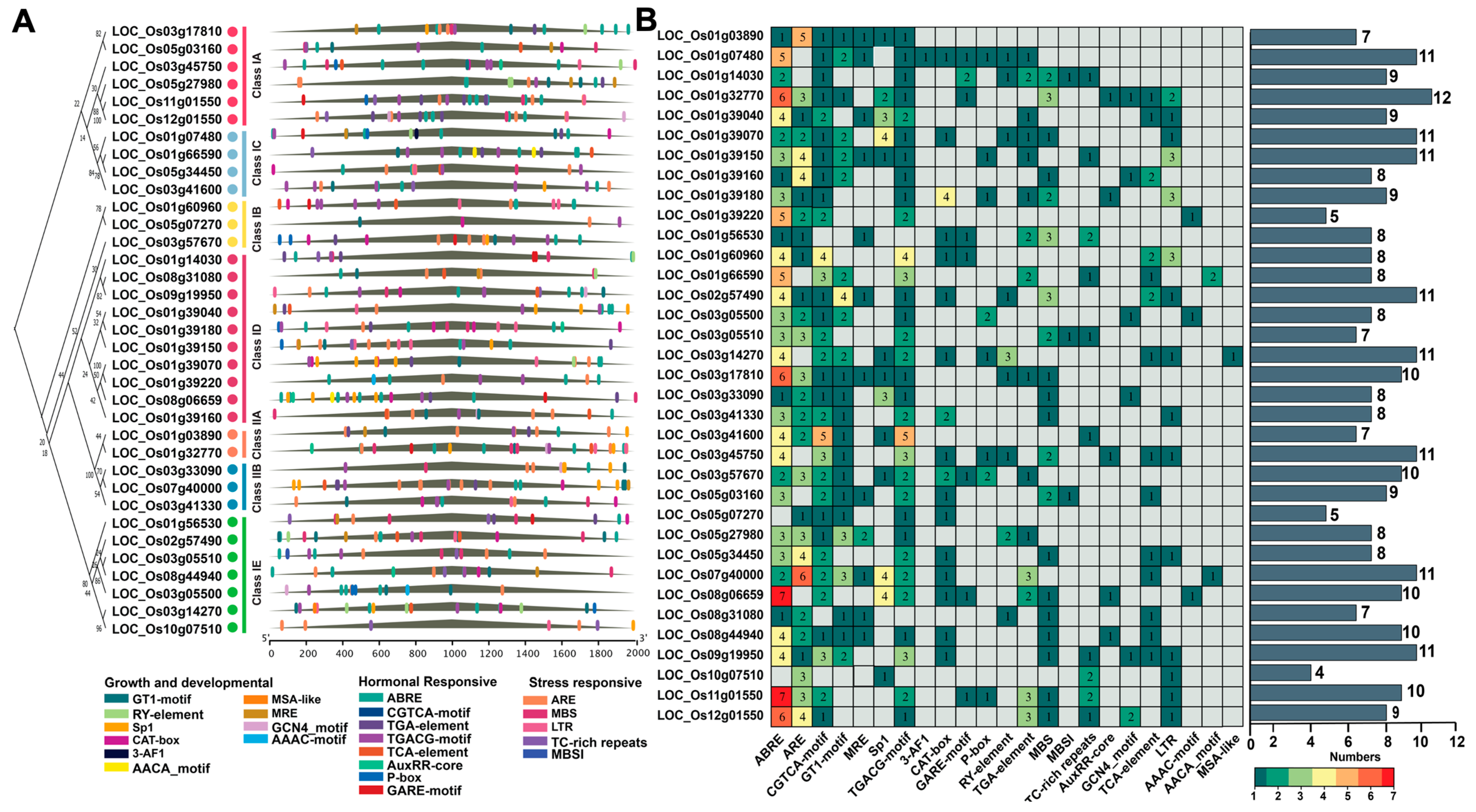 Plants 14 03596 g005