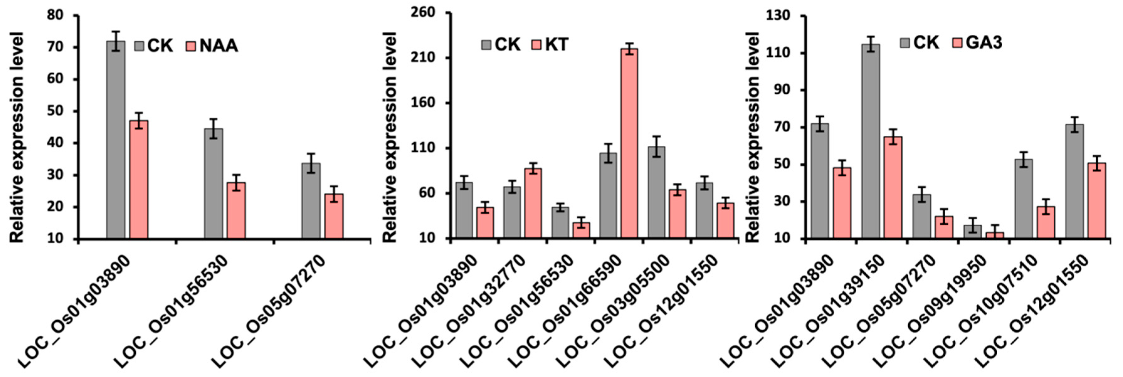 Plants 14 03596 g006