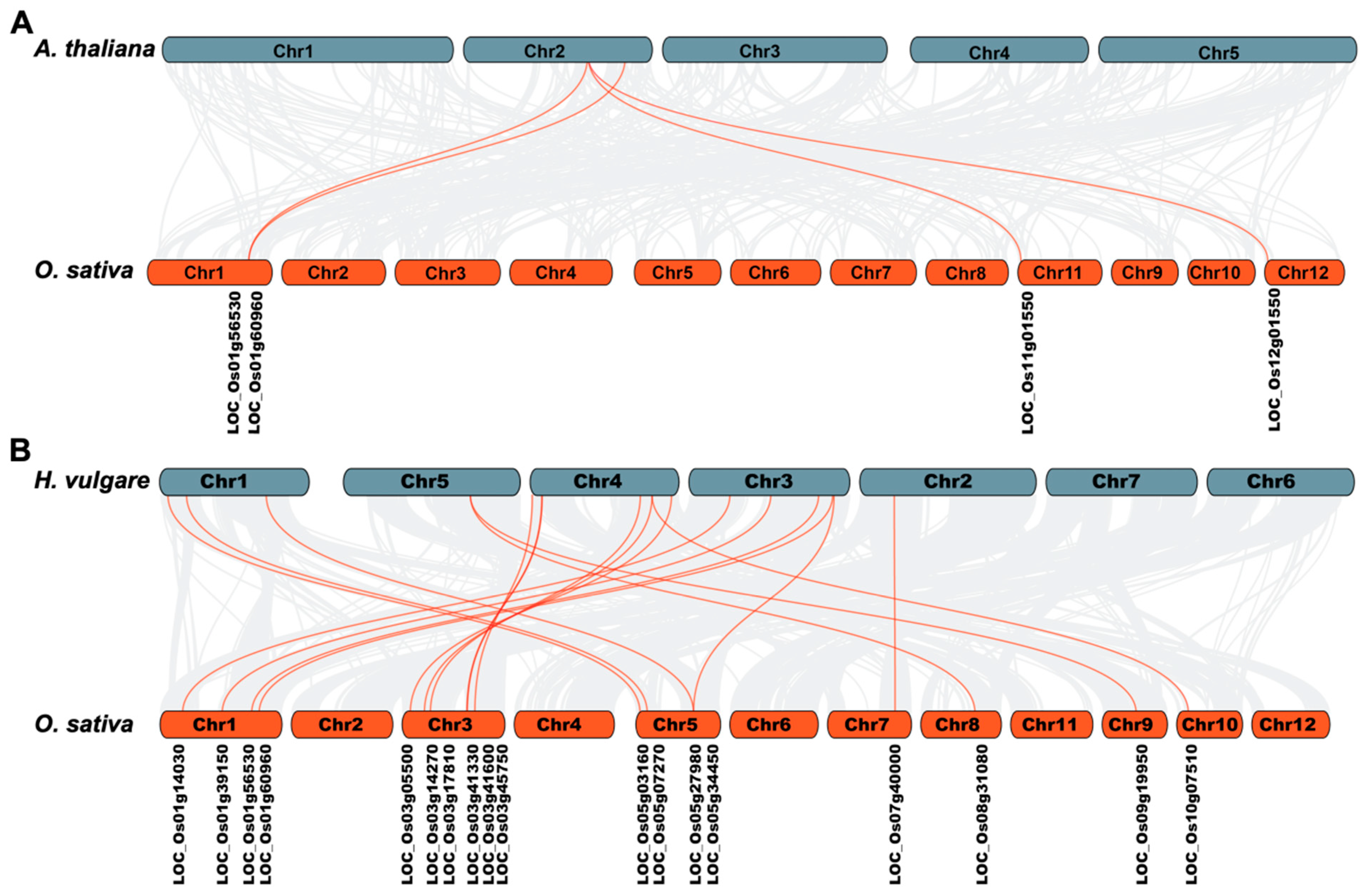 Plants 14 03596 g008