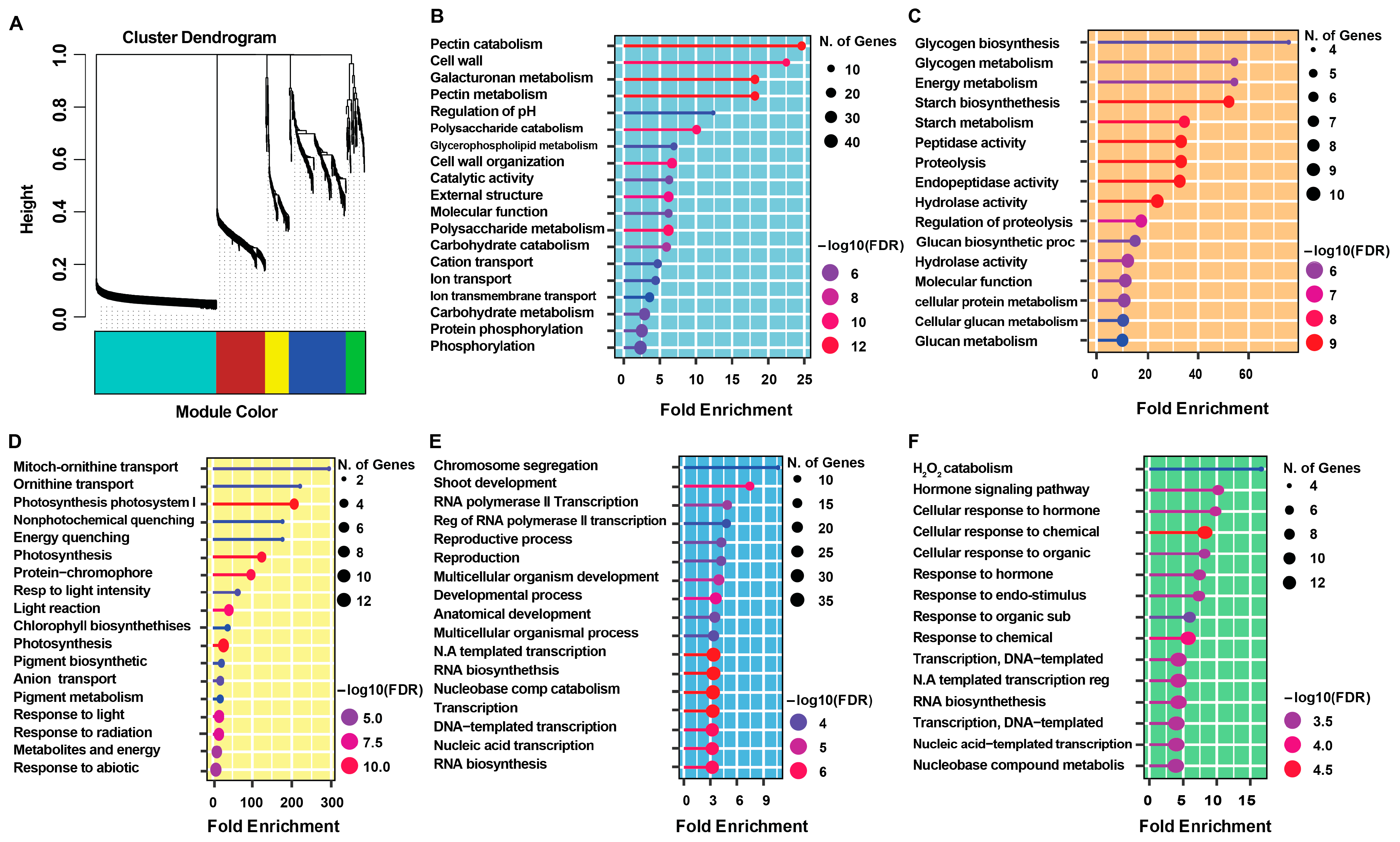 Plants 14 03596 g010