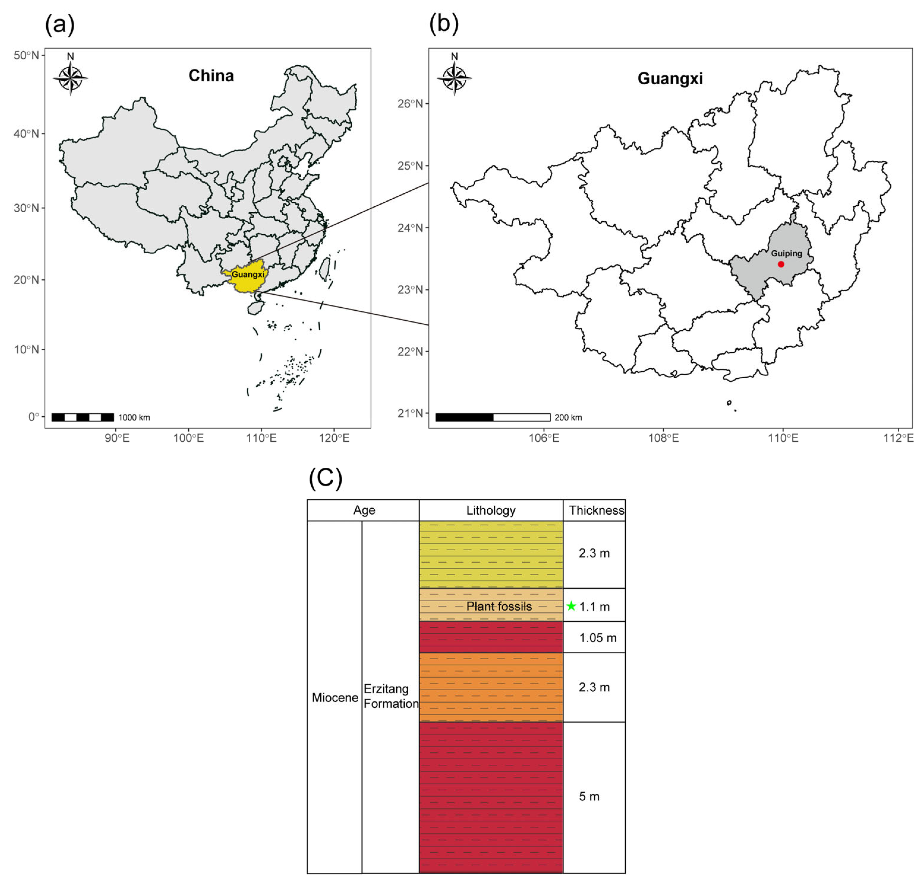 Plants 14 03599 g005 Plants 14 03599 g005