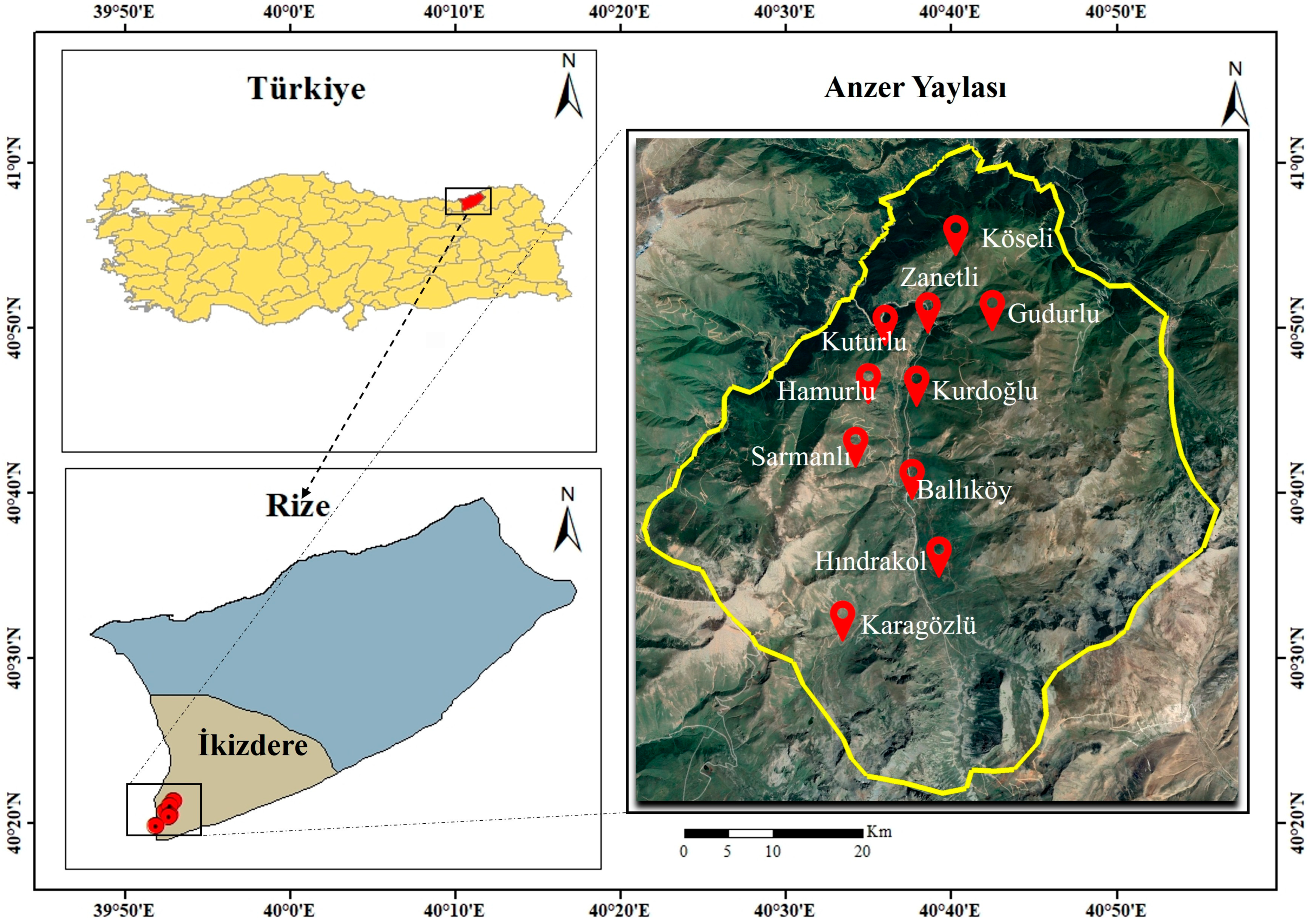 Plants 14 03600 g001 Plants 14 03600 g001