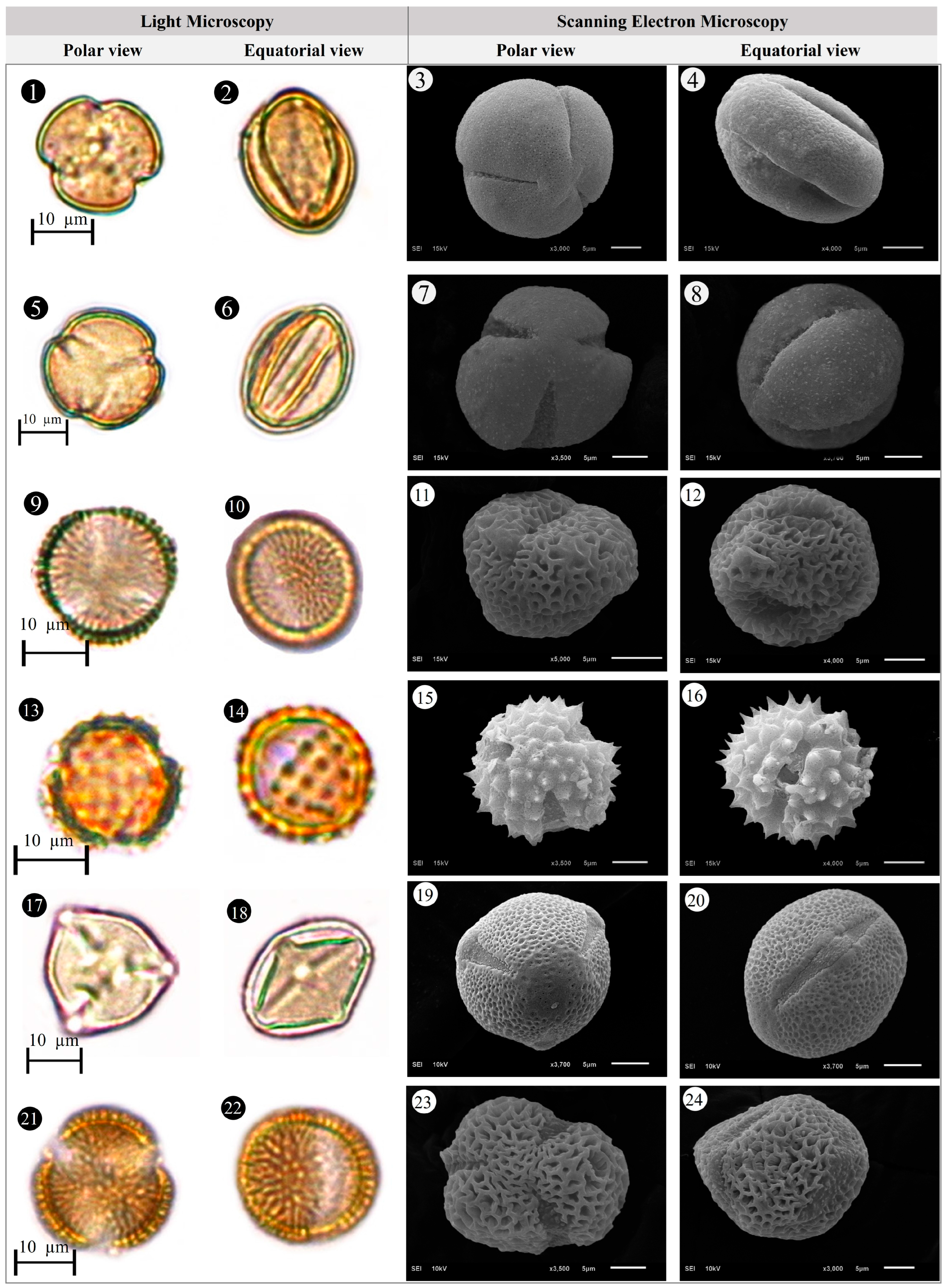 Plants 14 03600 g005 Plants 14 03600 g005