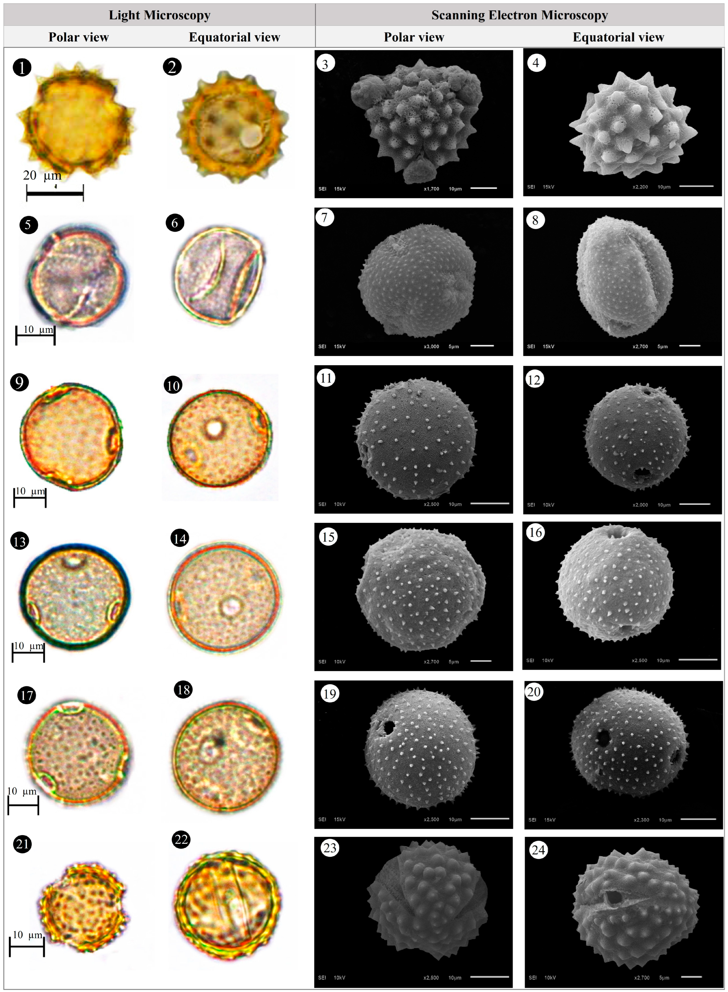 Plants 14 03600 g006 Plants 14 03600 g006