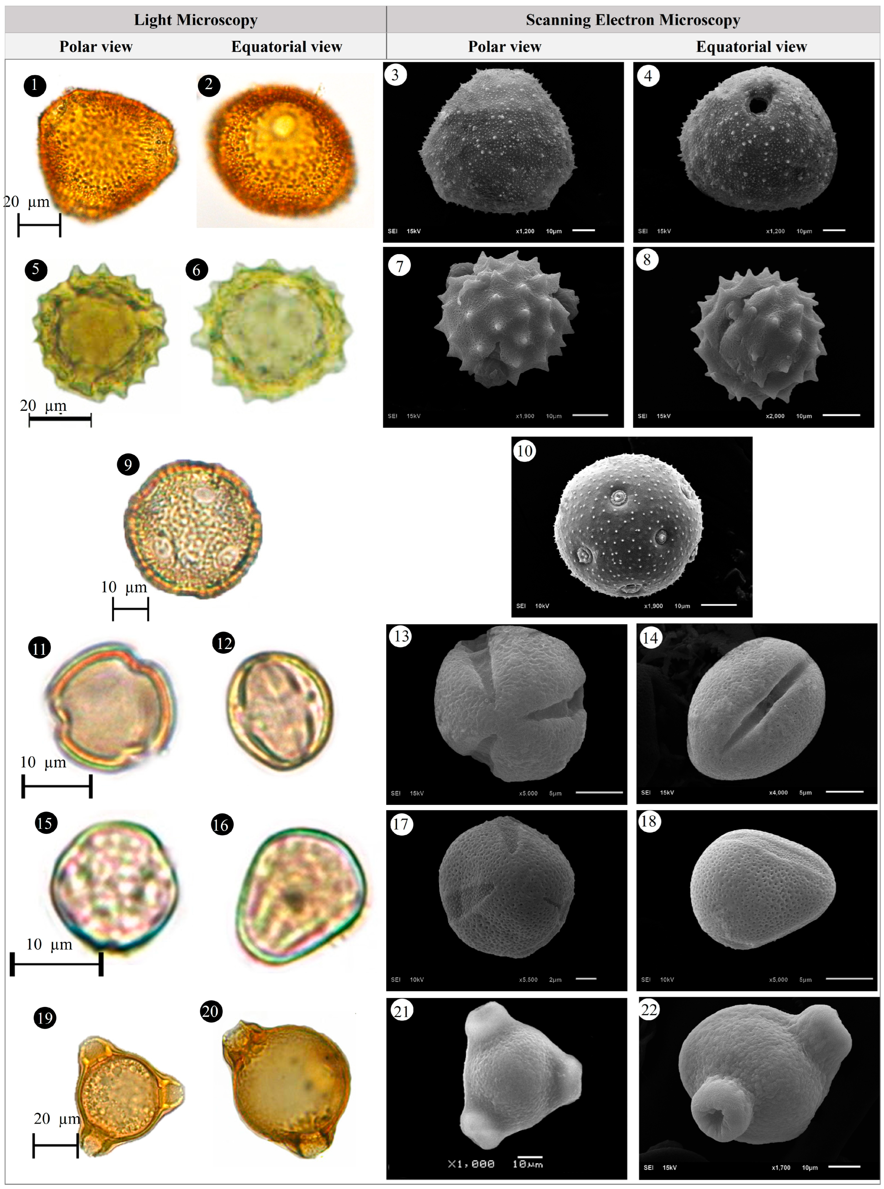 Plants 14 03600 g007 Plants 14 03600 g007