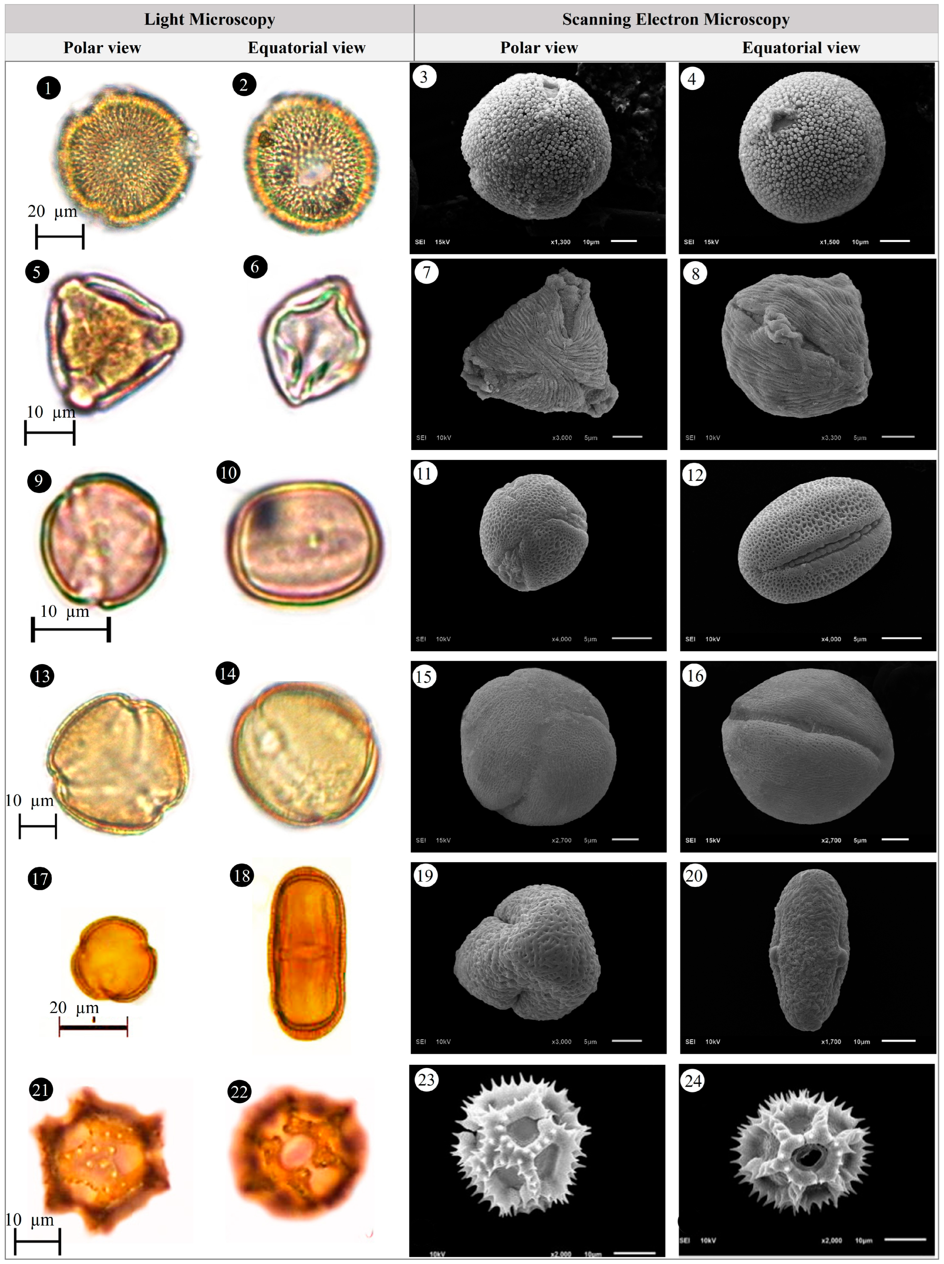 Plants 14 03600 g009 Plants 14 03600 g009