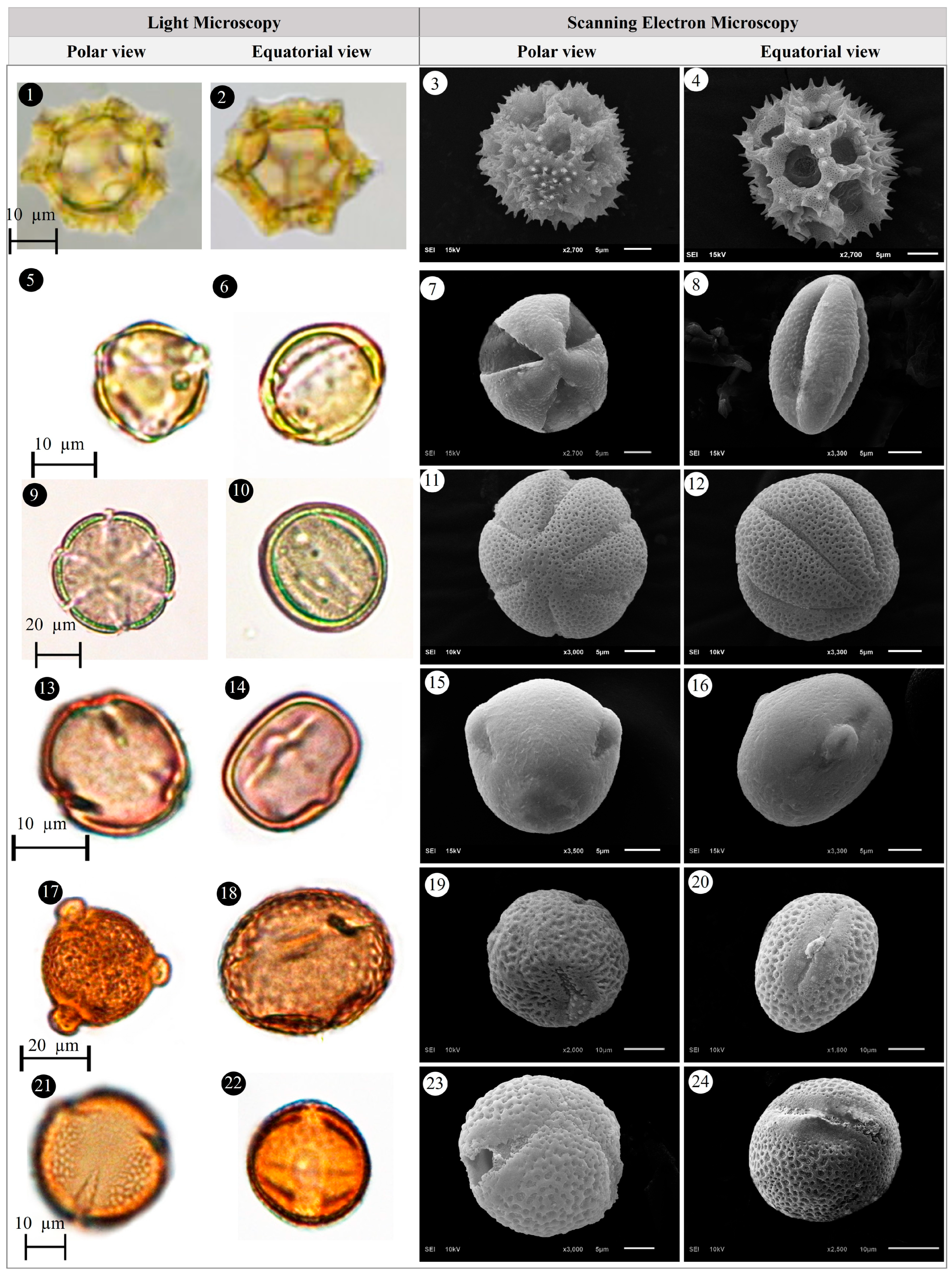 Plants 14 03600 g014 Plants 14 03600 g014