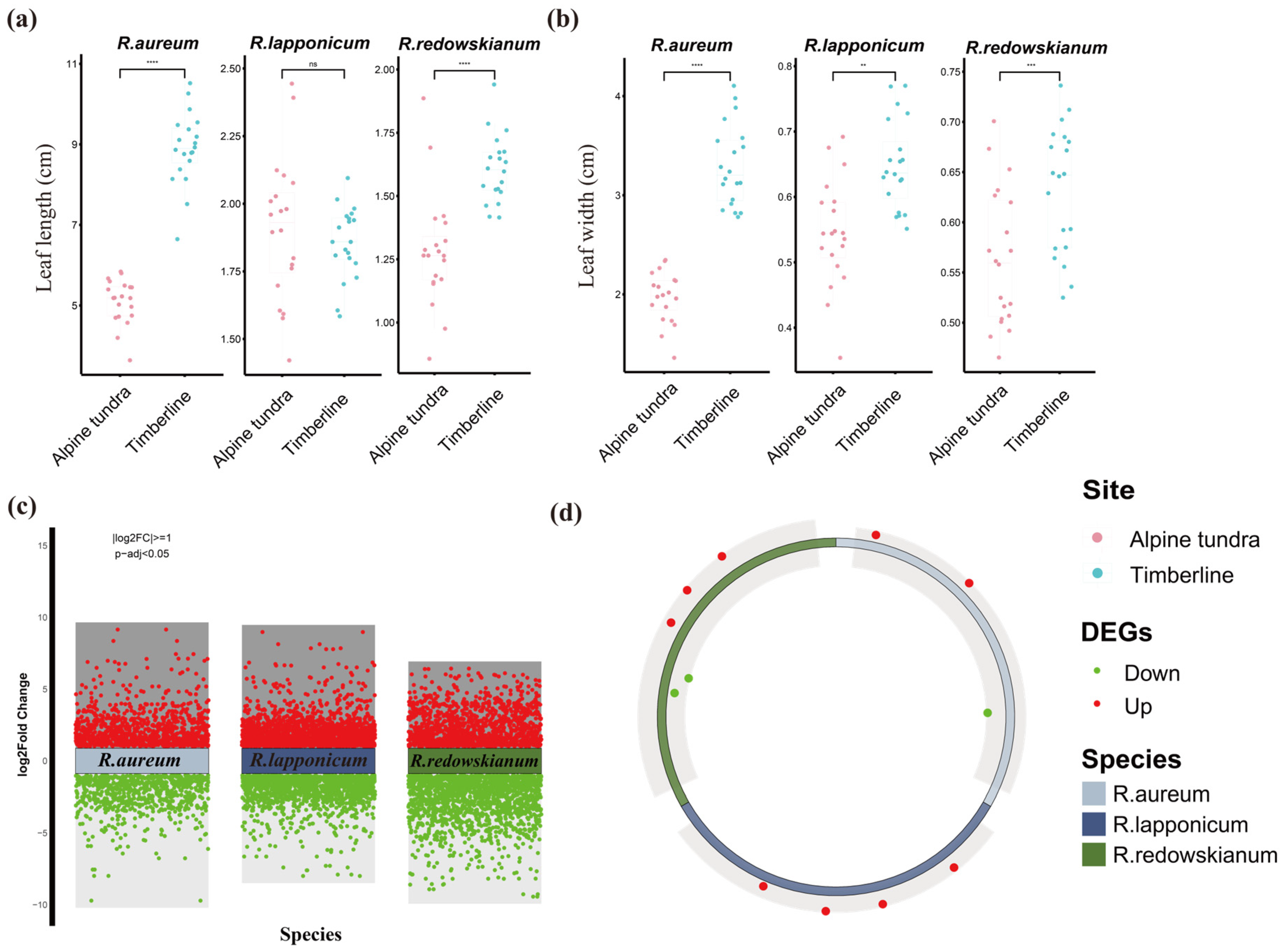 Plants 14 03602 g001