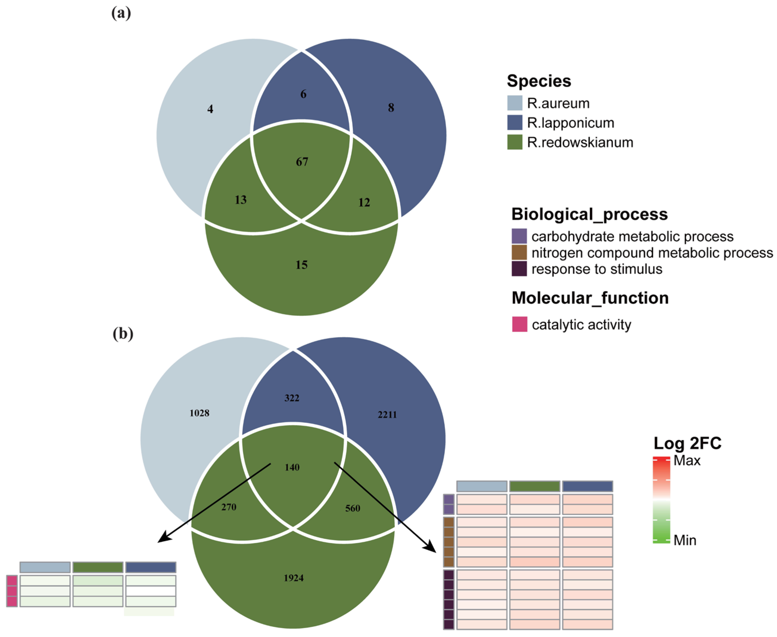 Plants 14 03602 g002