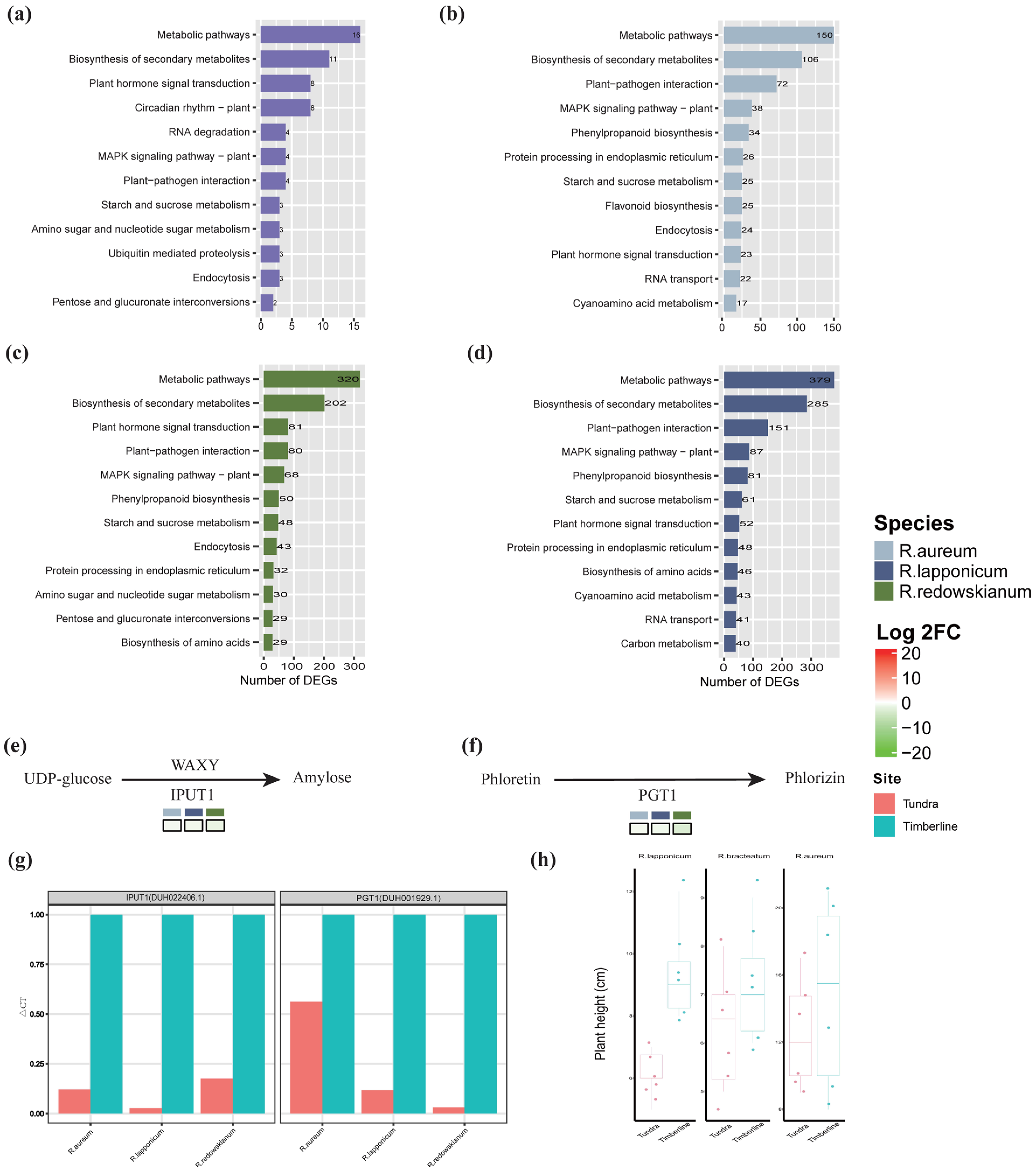 Plants 14 03602 g004