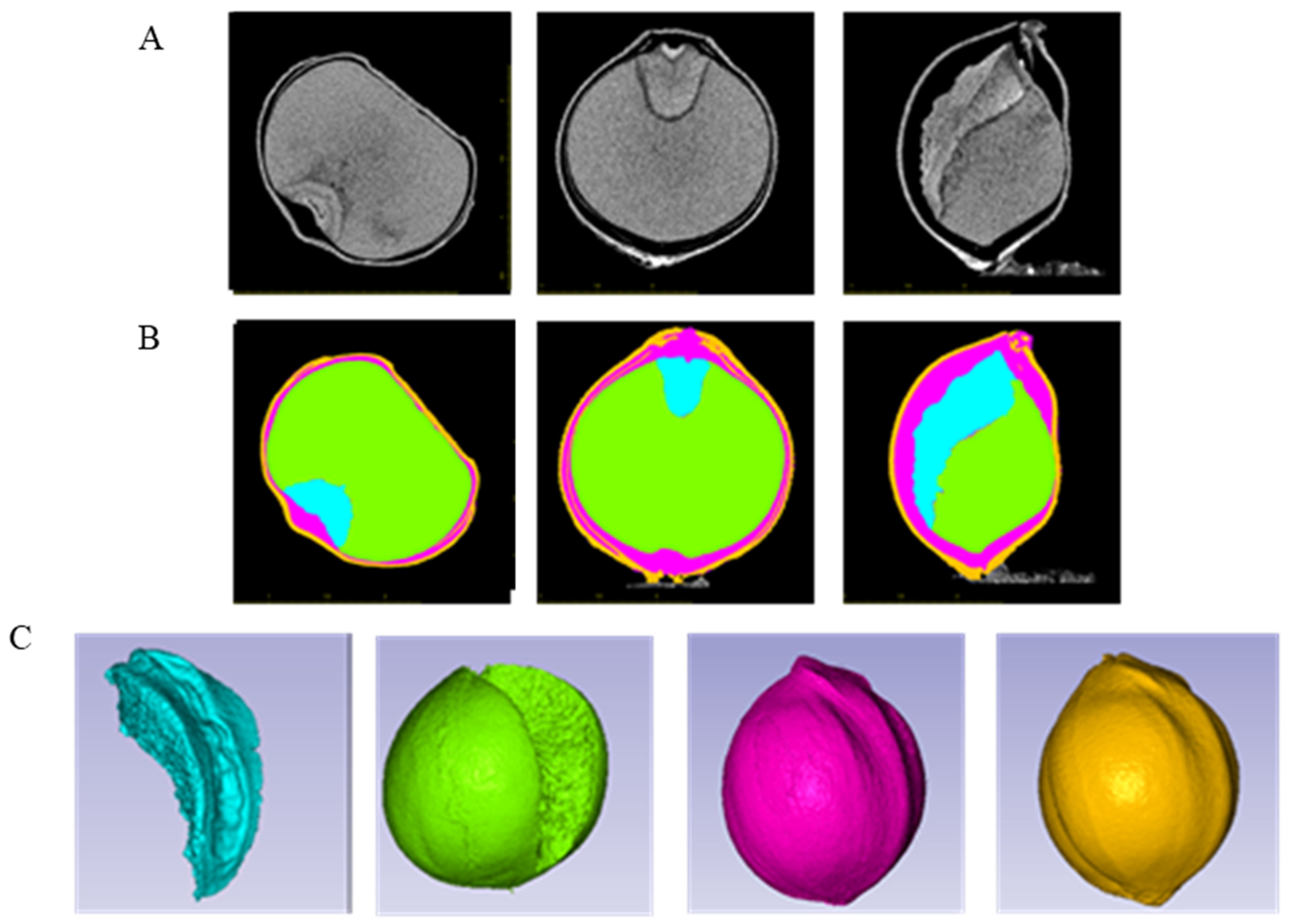 Plants 14 03603 g002 Plants 14 03603 g002