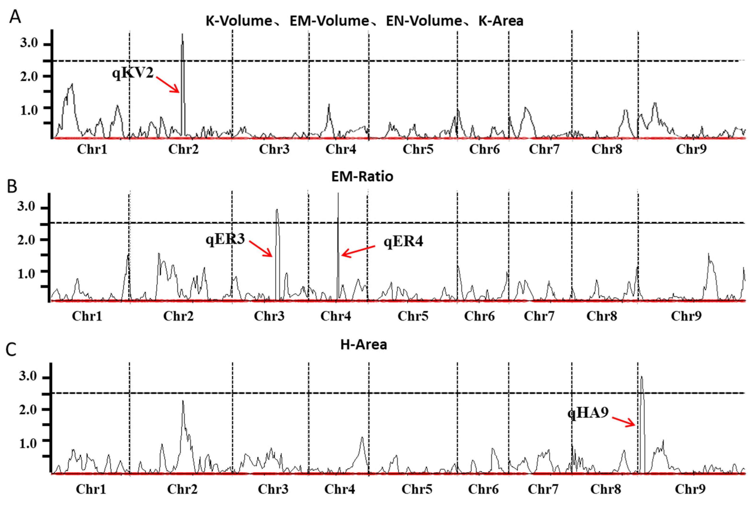 Plants 14 03603 g004 Plants 14 03603 g004
