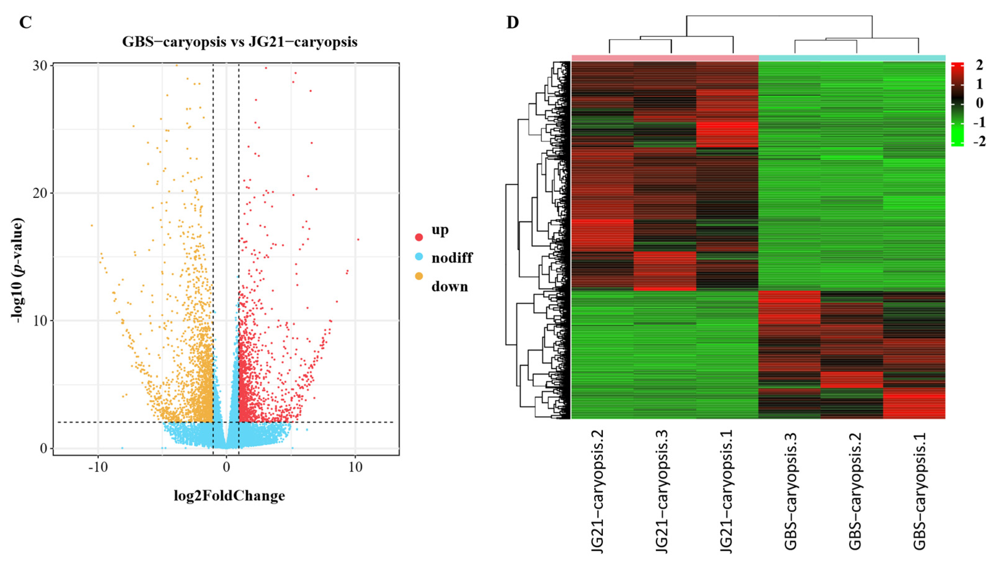 Plants 14 03603 g005b Plants 14 03603 g005b