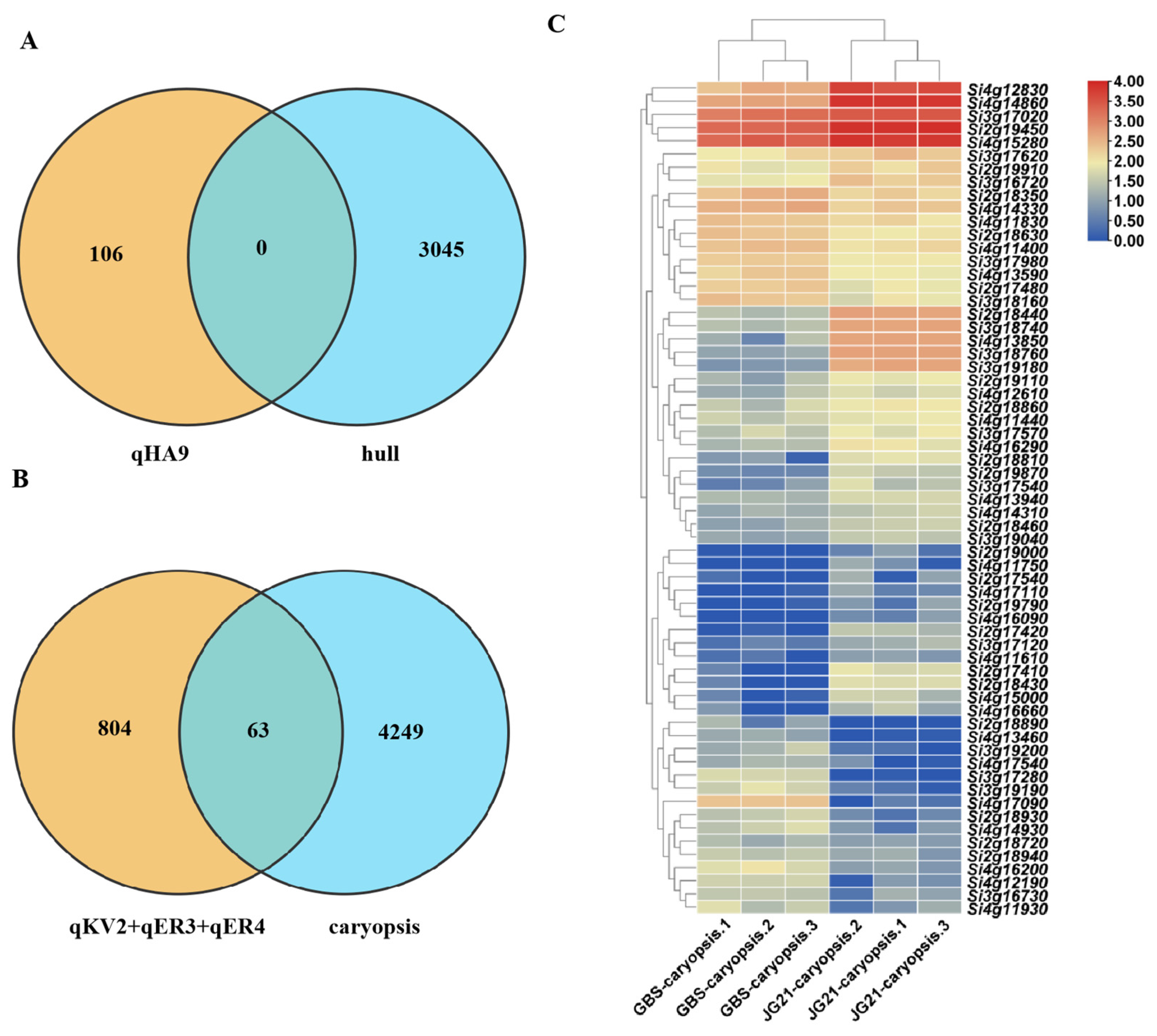 Plants 14 03603 g006 Plants 14 03603 g006