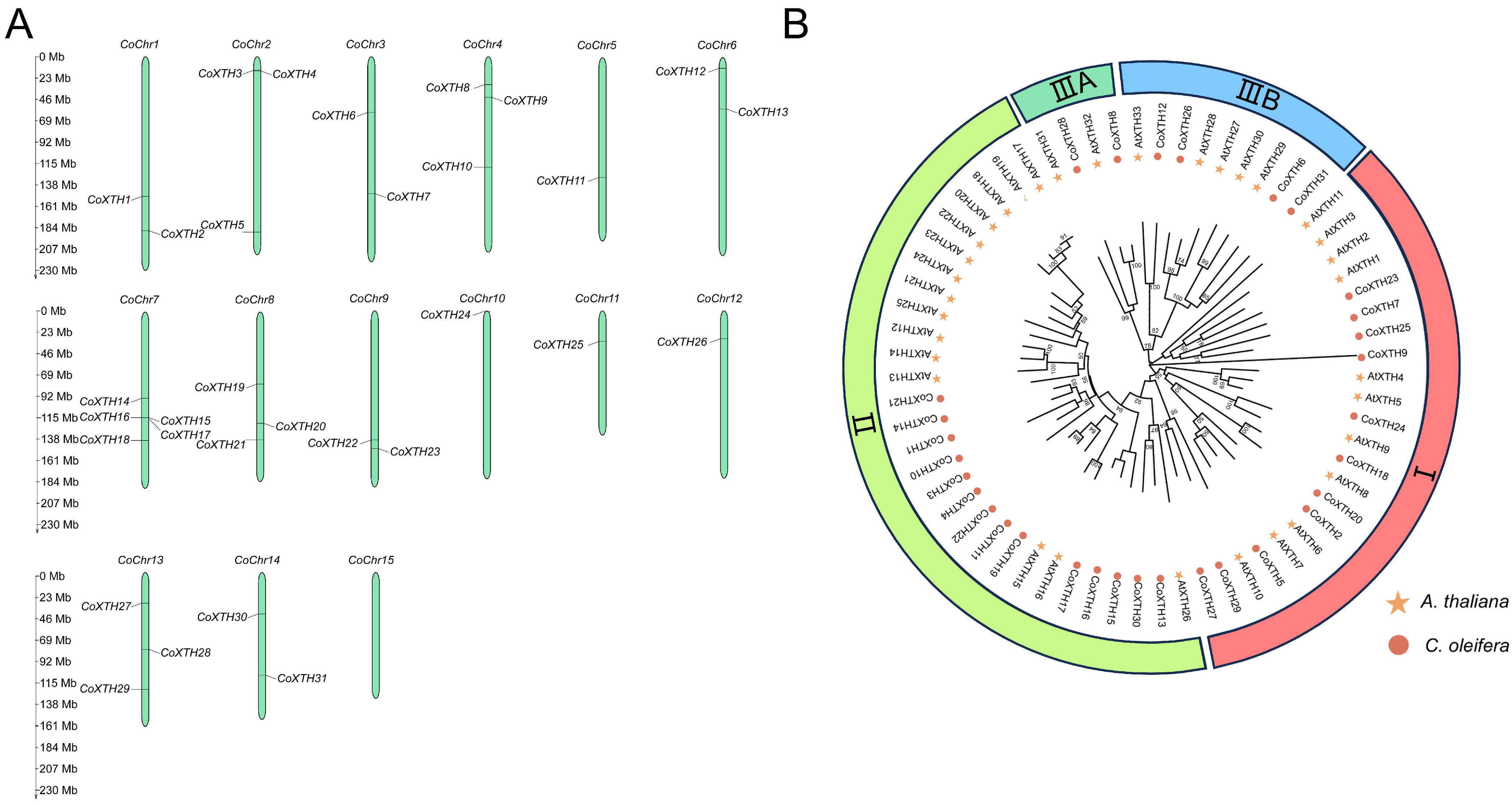 Plants 14 03605 g001 Plants 14 03605 g001