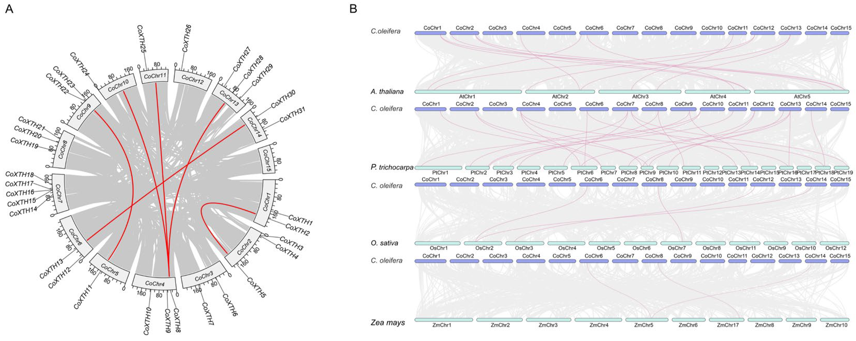 Plants 14 03605 g002 Plants 14 03605 g002