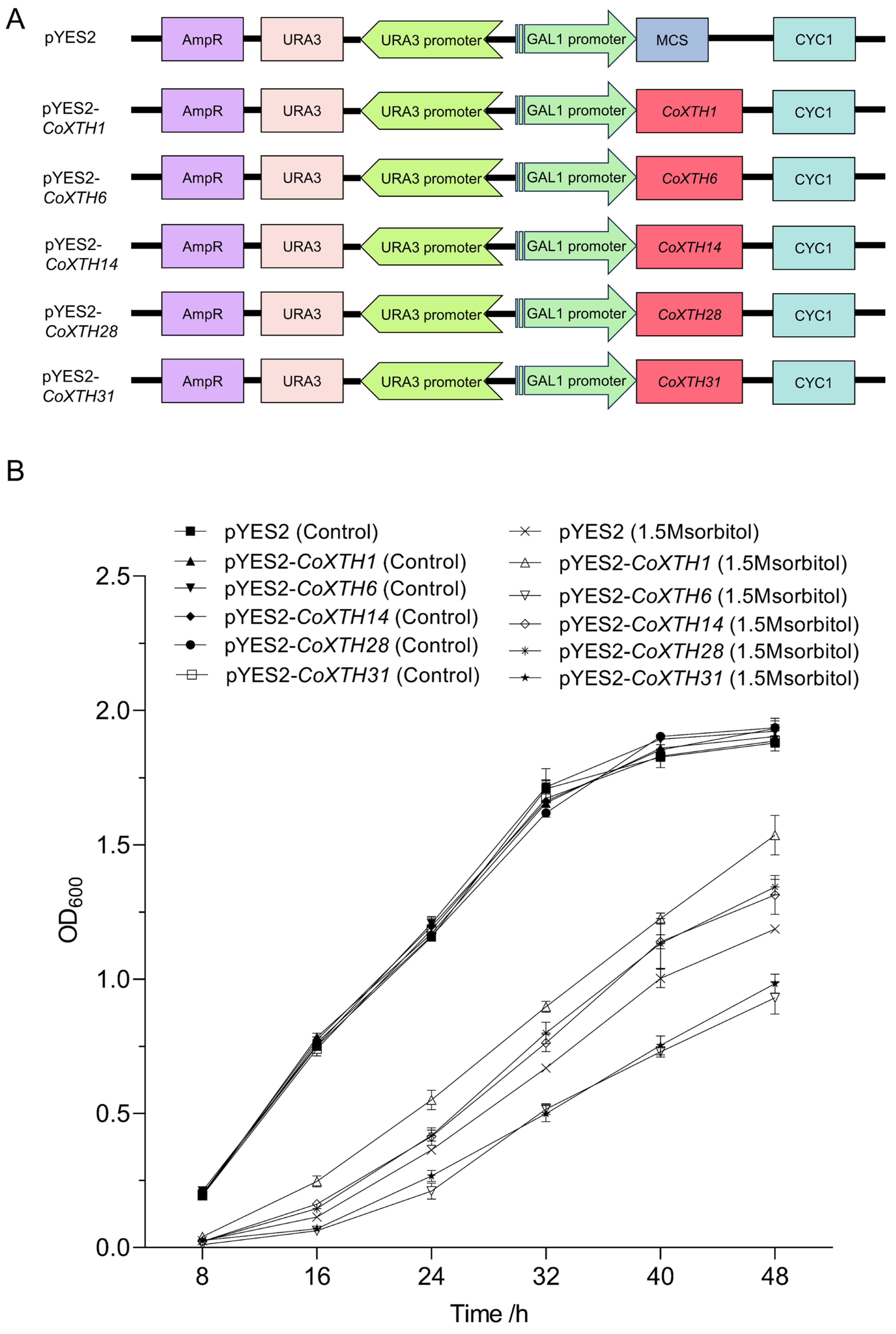Plants 14 03605 g005 Plants 14 03605 g005