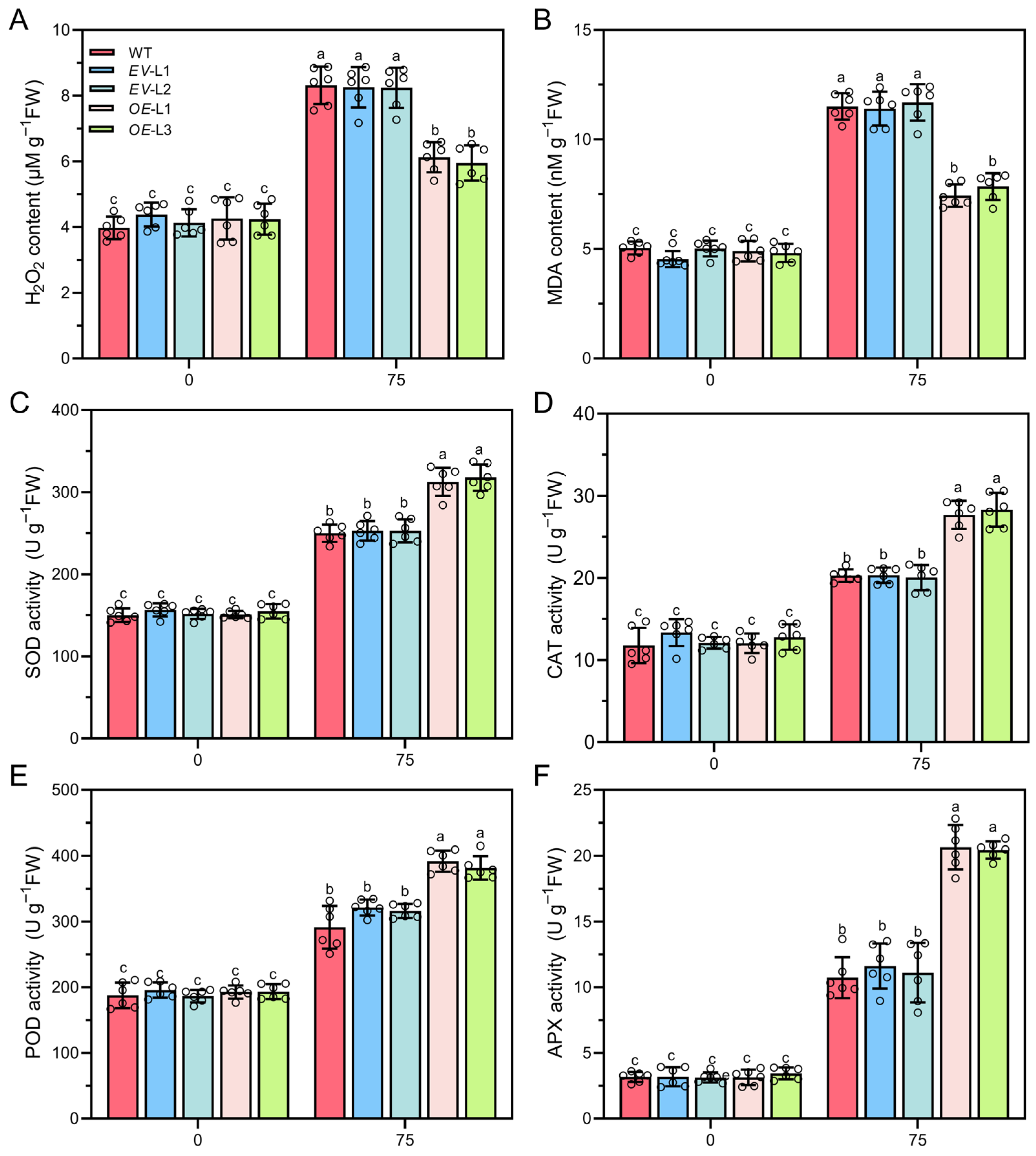 Plants 14 03605 g007 Plants 14 03605 g007