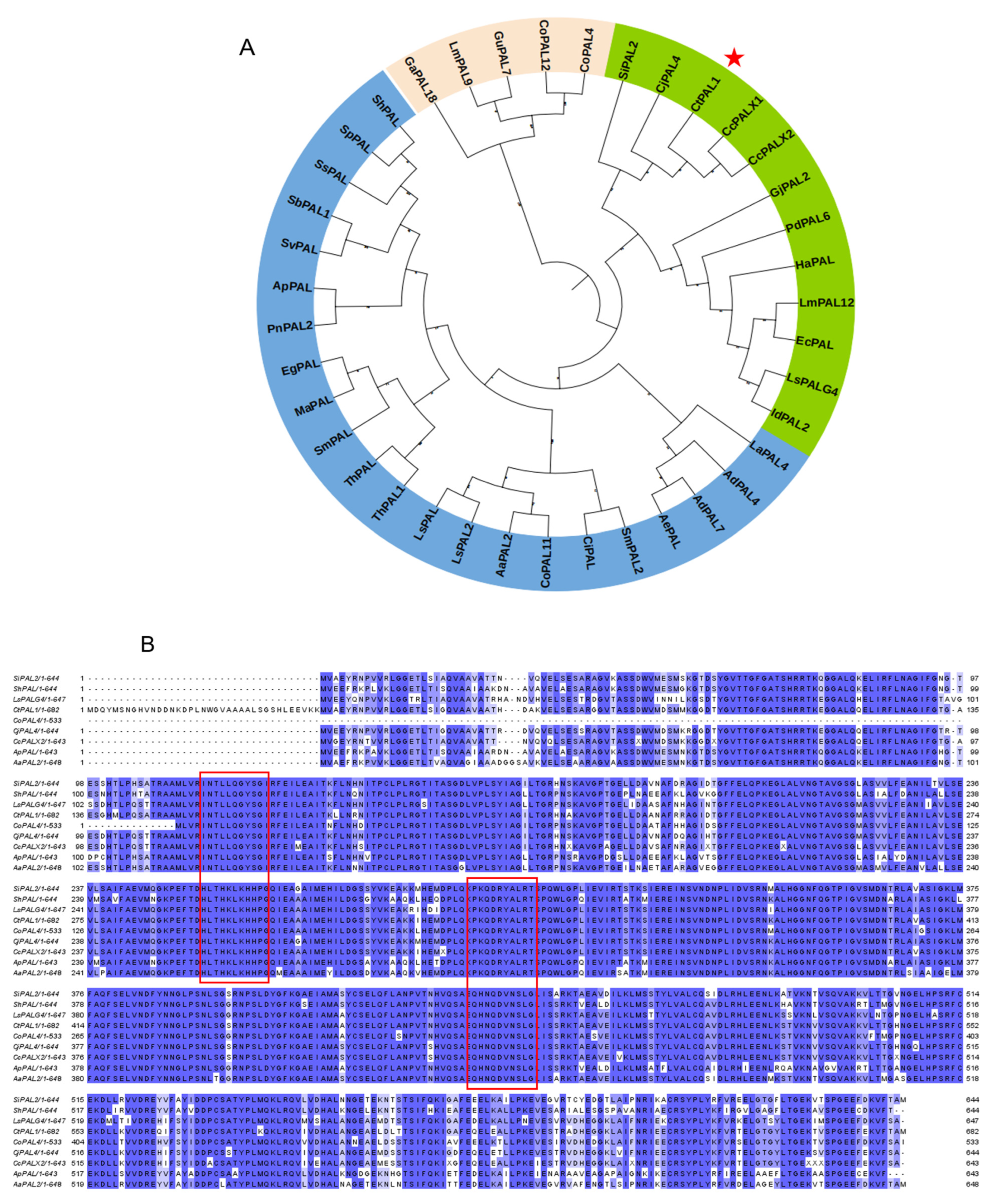 Plants 14 03606 g001