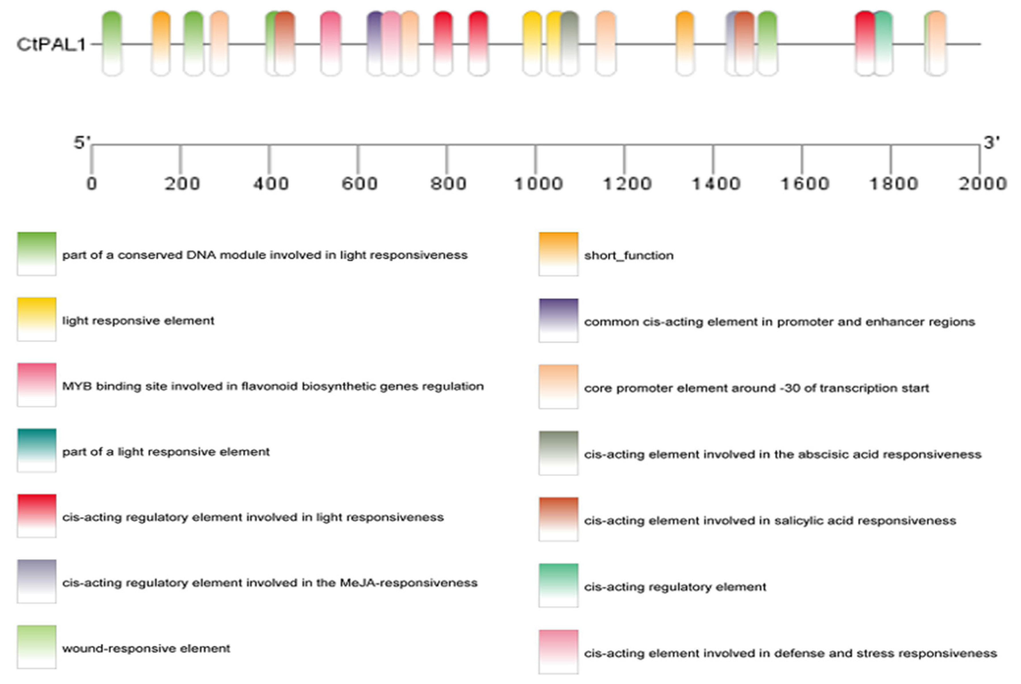Plants 14 03606 g004
