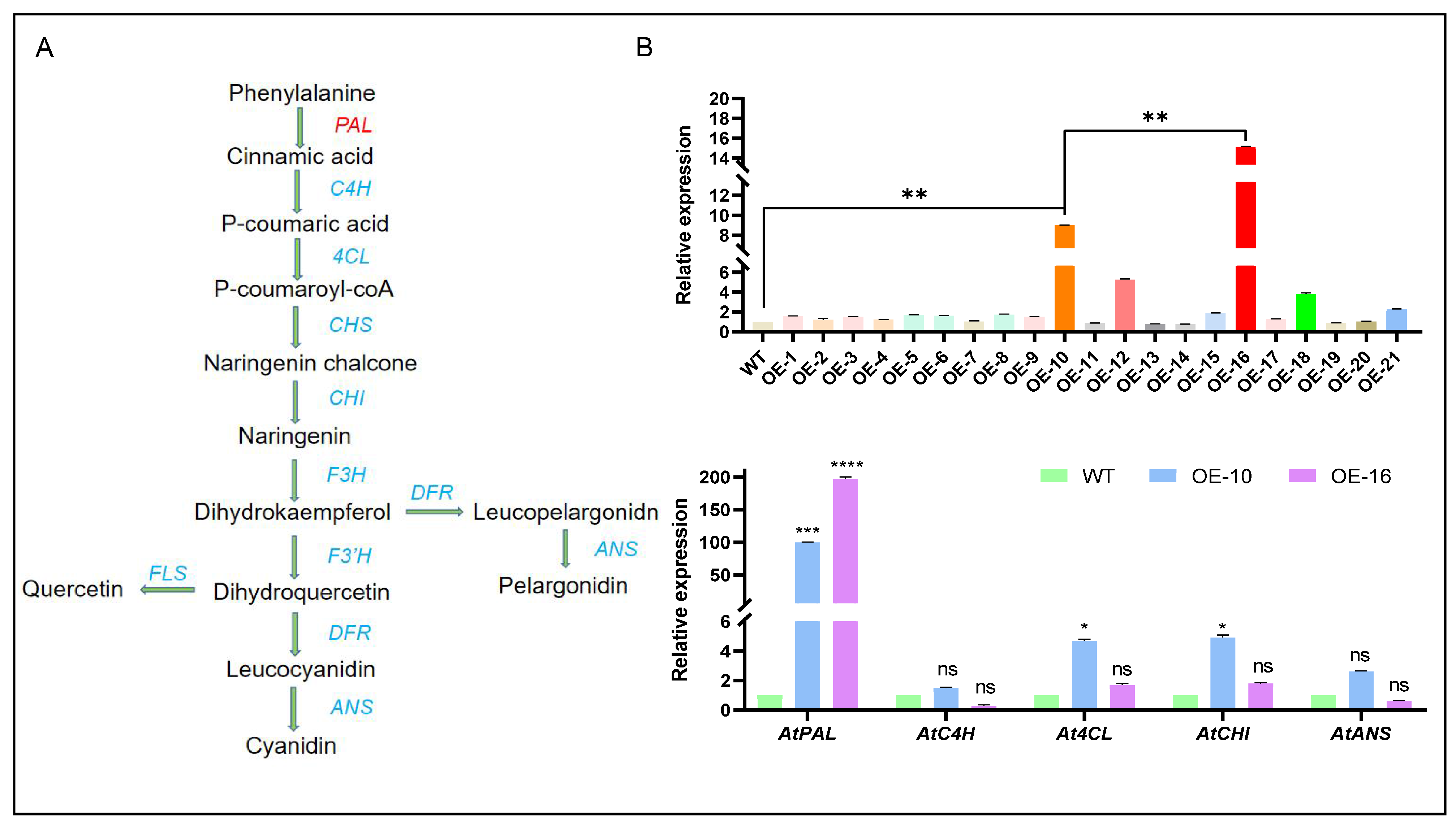Plants 14 03606 g006