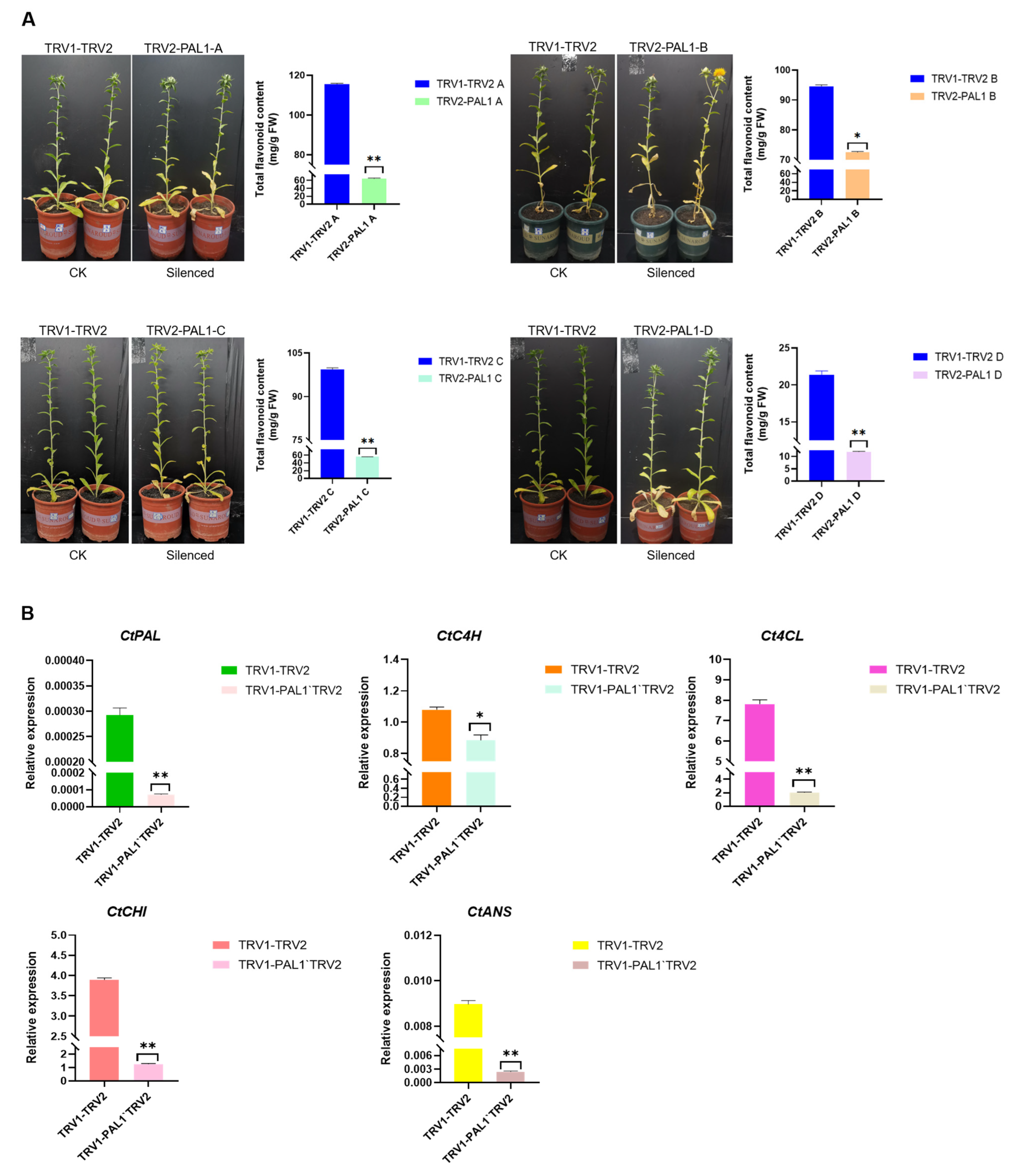 Plants 14 03606 g008