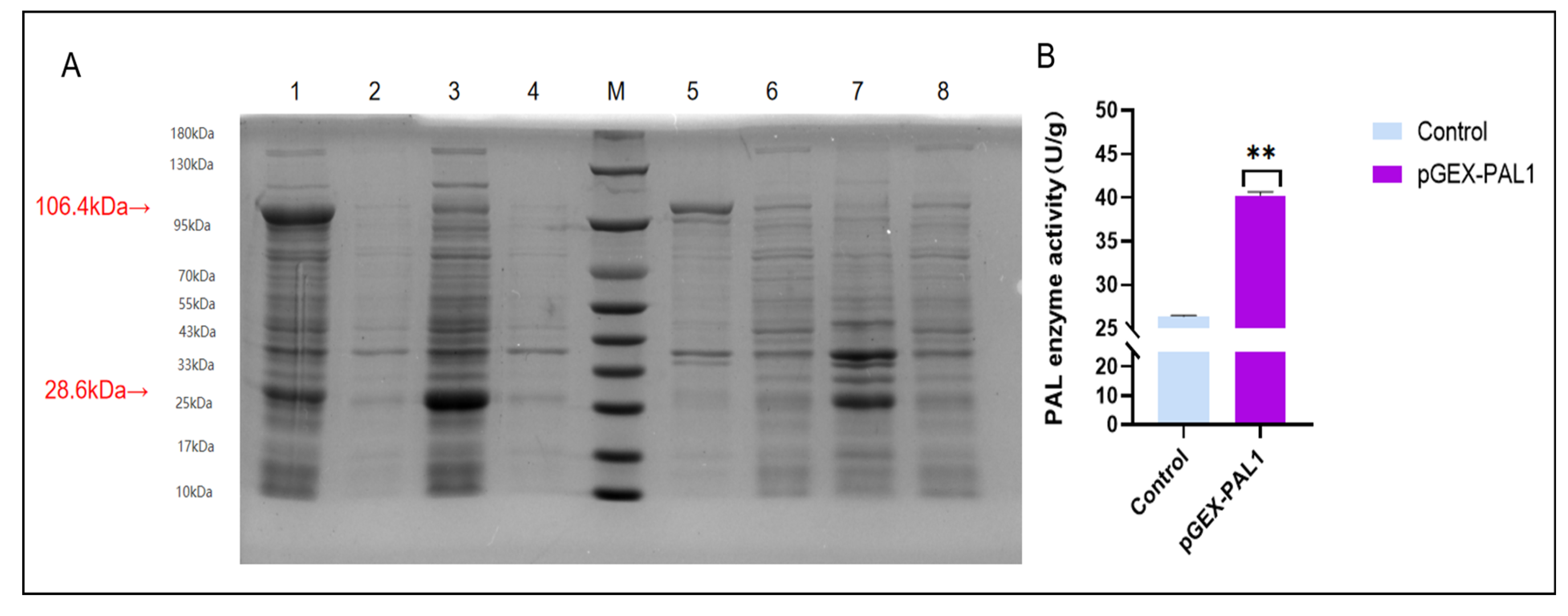 Plants 14 03606 g012