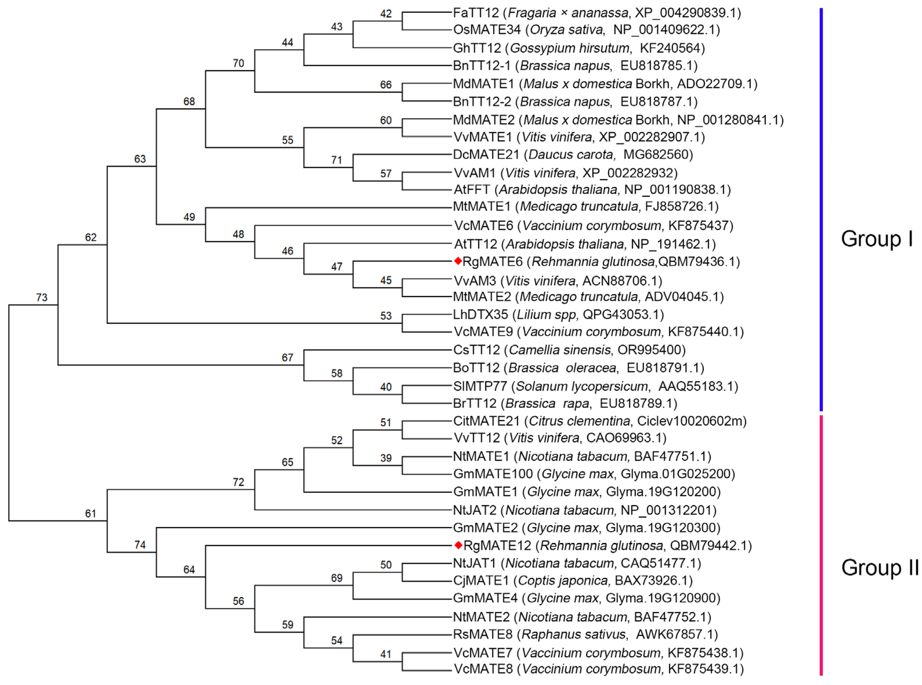 Plants 14 03608 g001 Plants 14 03608 g001