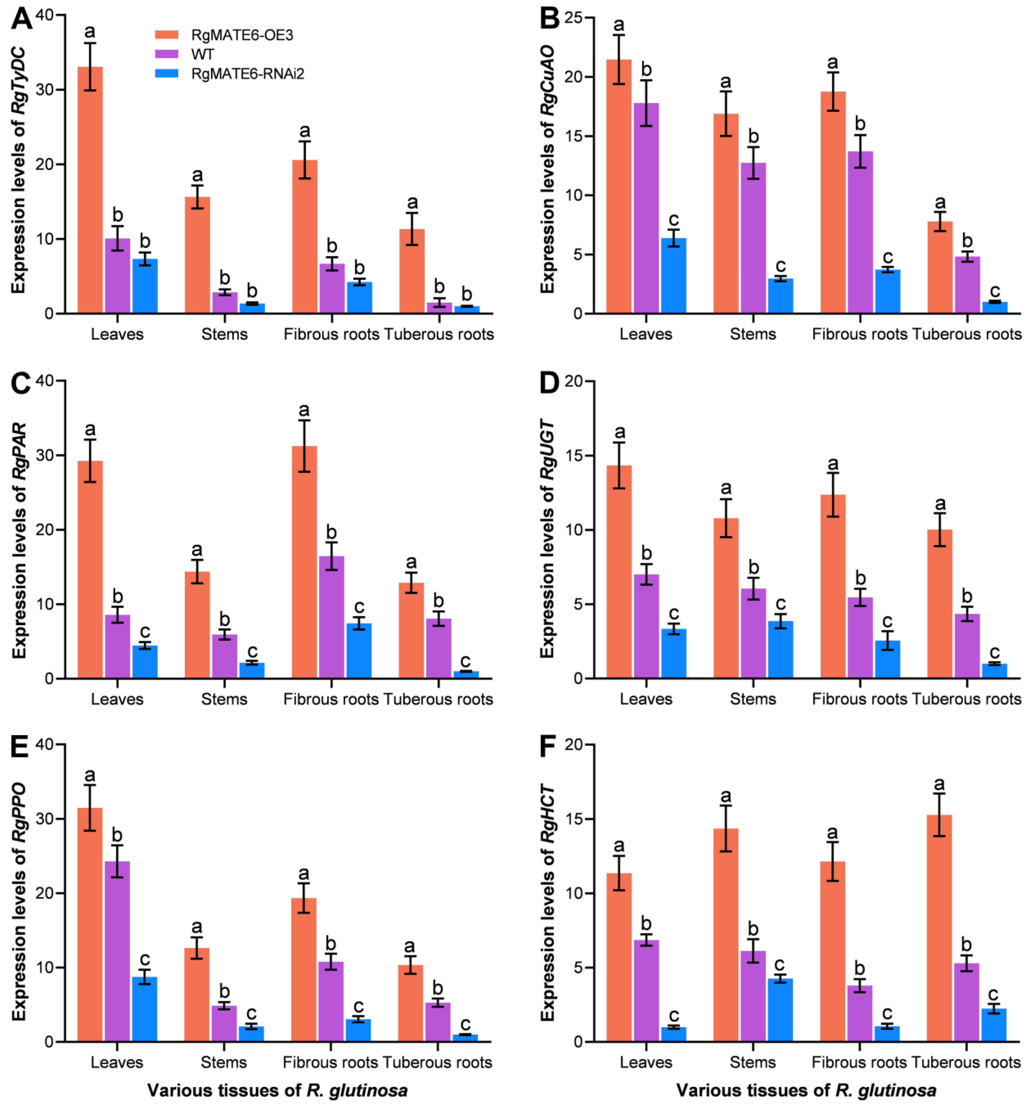 Plants 14 03608 g007 Plants 14 03608 g007
