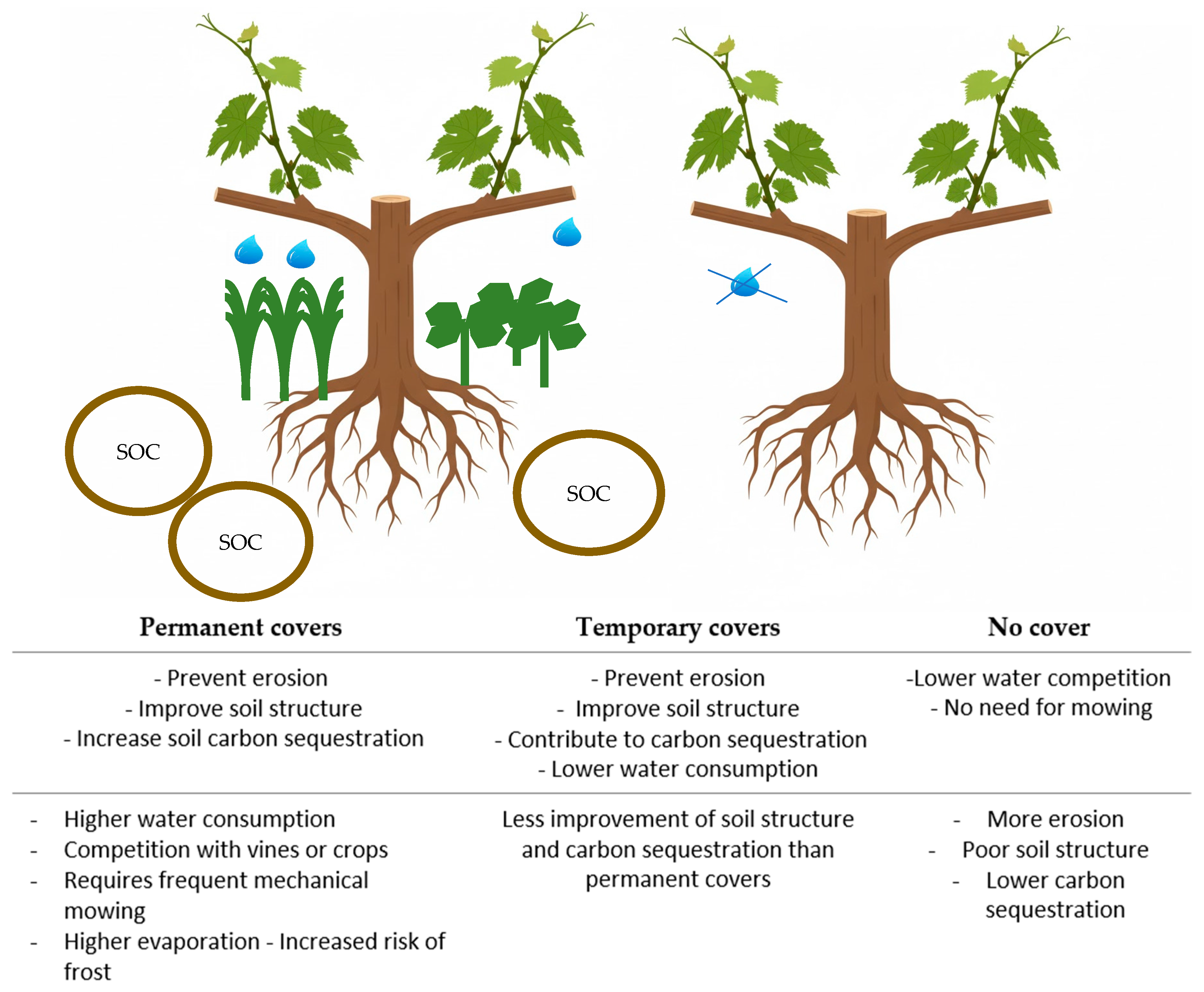 Plants 14 03610 g002