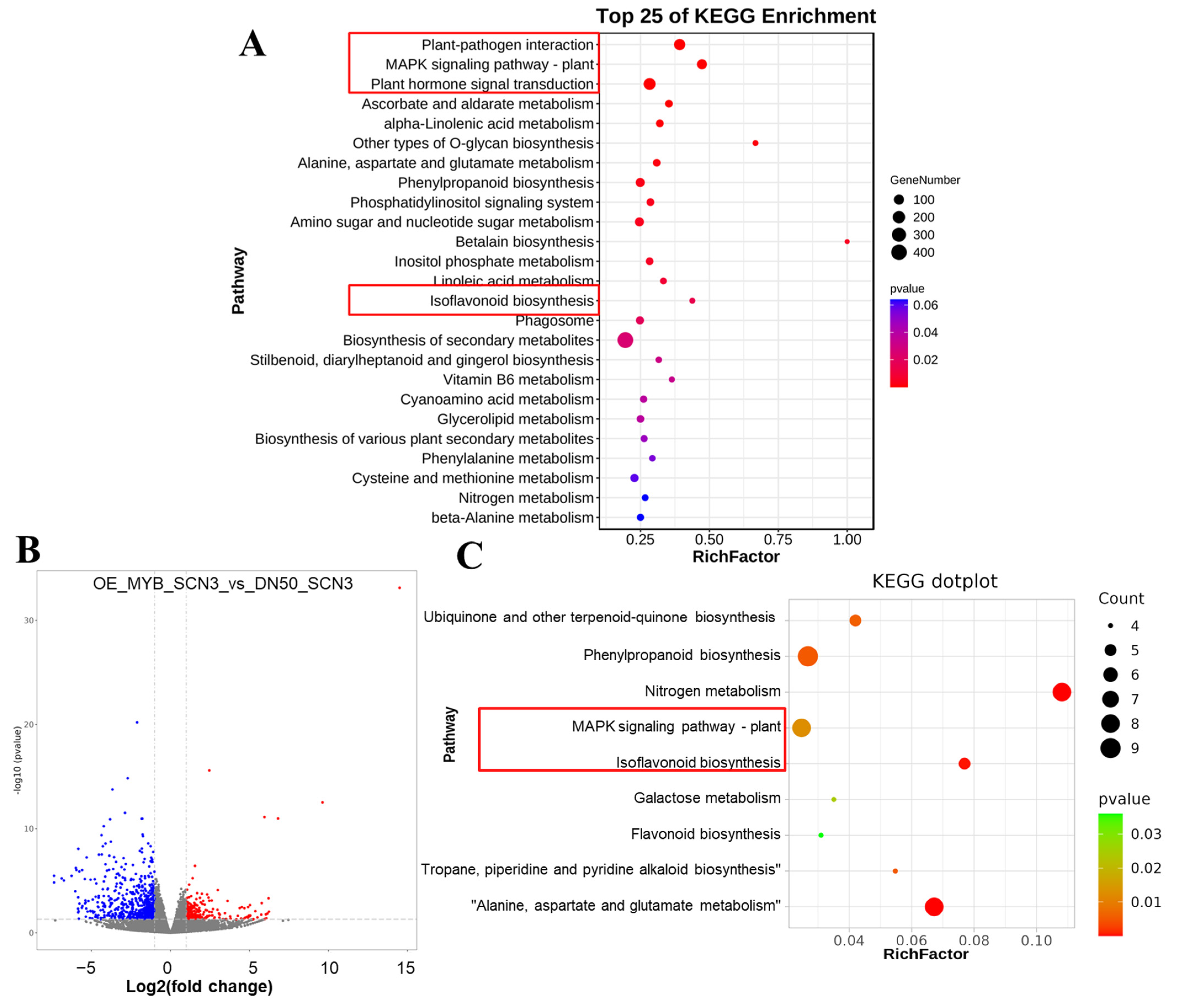 Plants 14 03612 g002