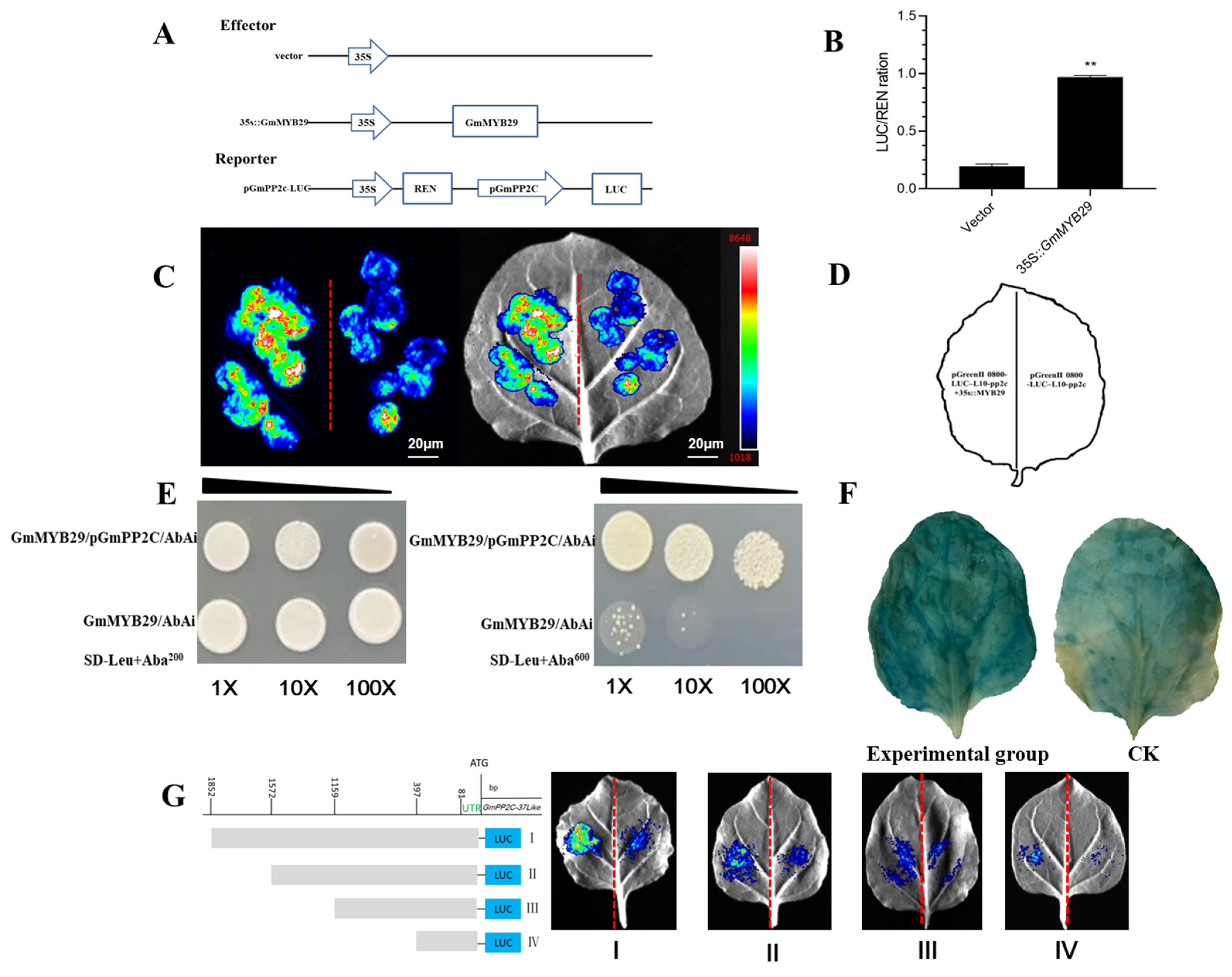 Plants 14 03612 g003