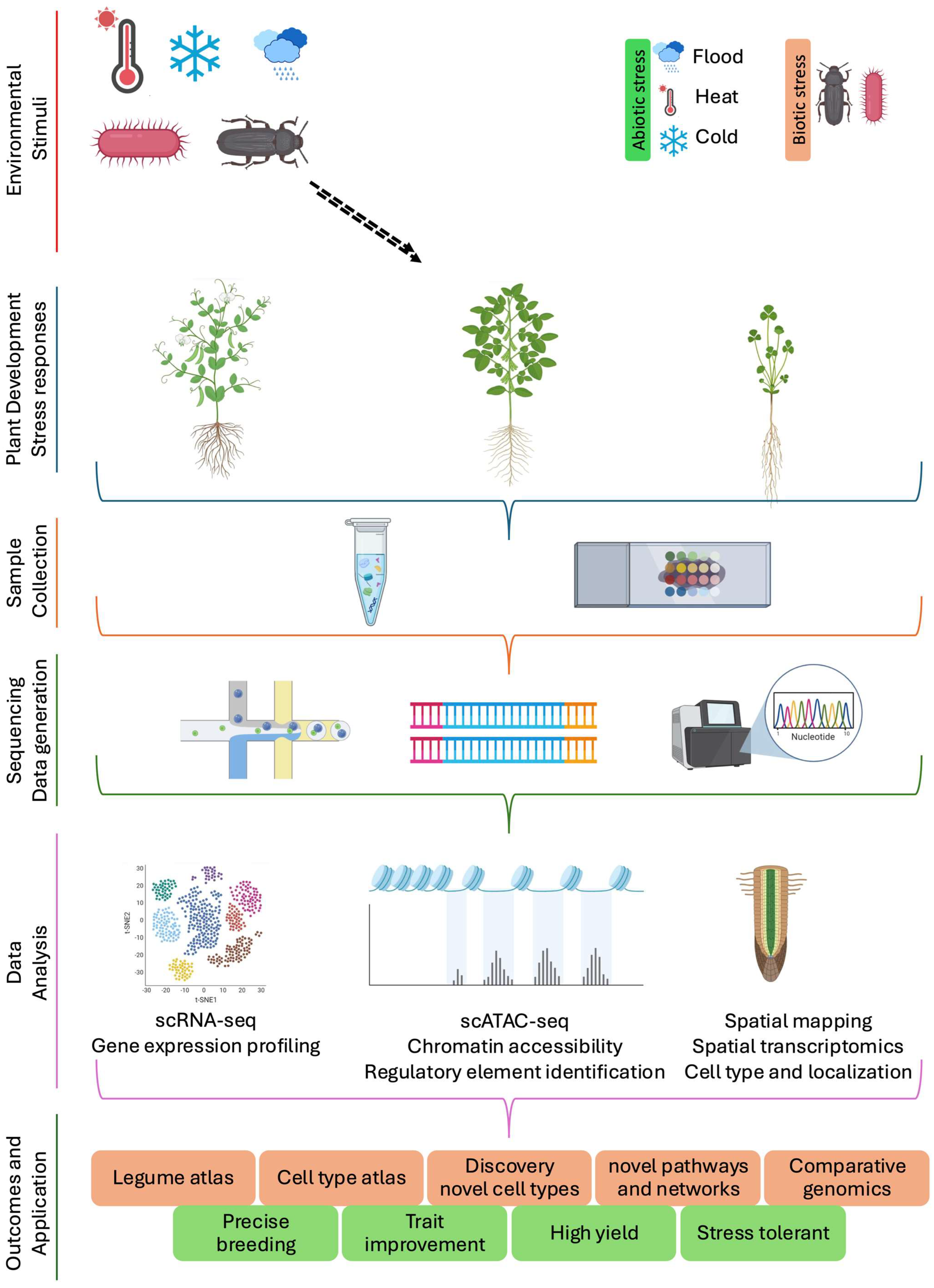 Plants 14 03615 g002 Plants 14 03615 g002