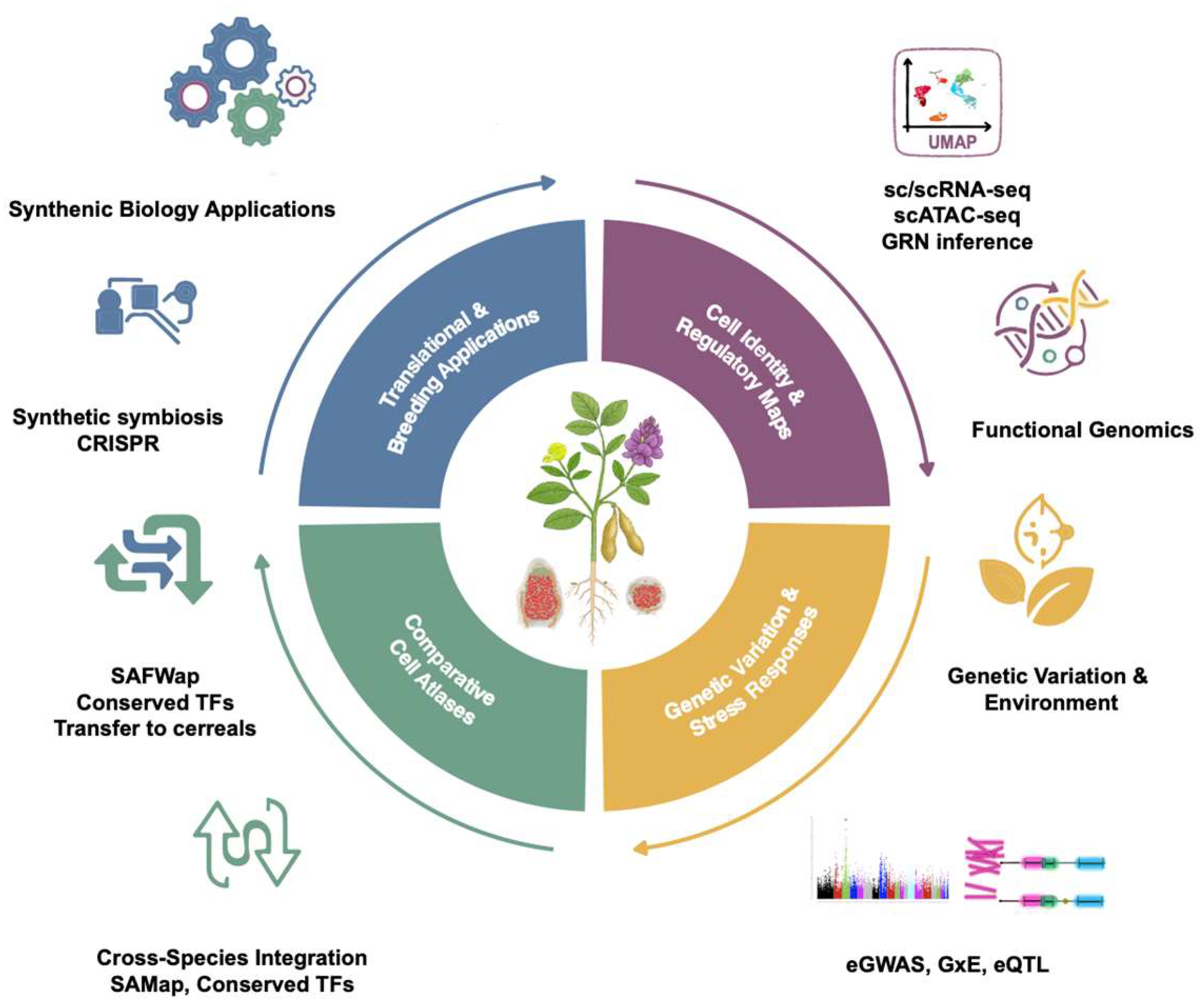 Plants 14 03615 g003 Plants 14 03615 g003