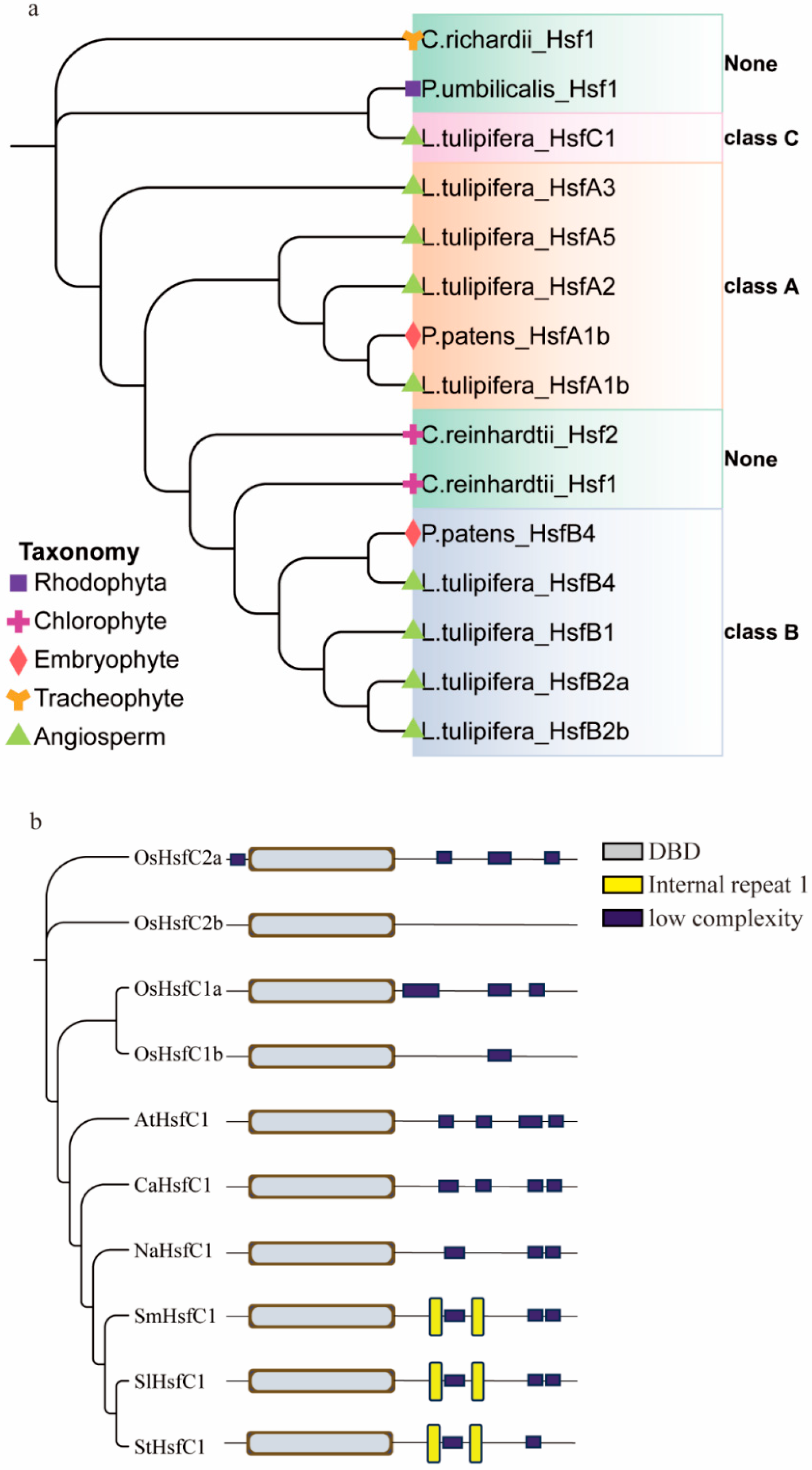 Plants 14 03617 g001