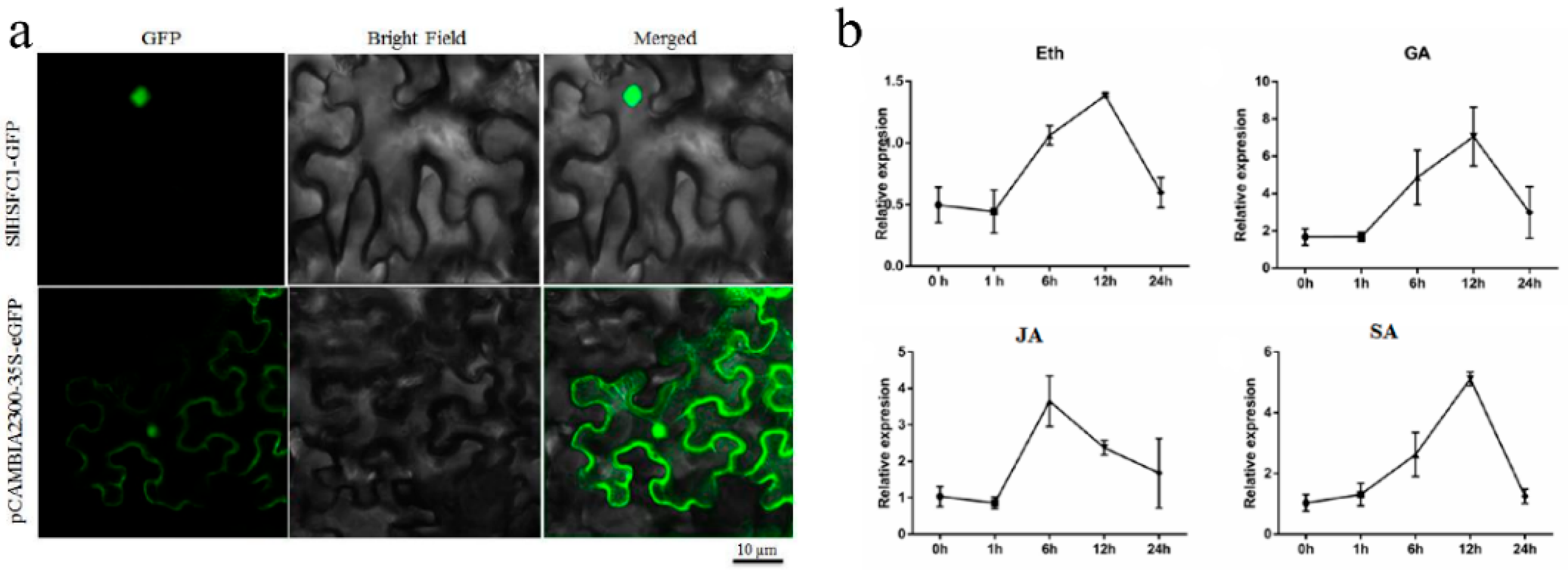 Plants 14 03617 g002