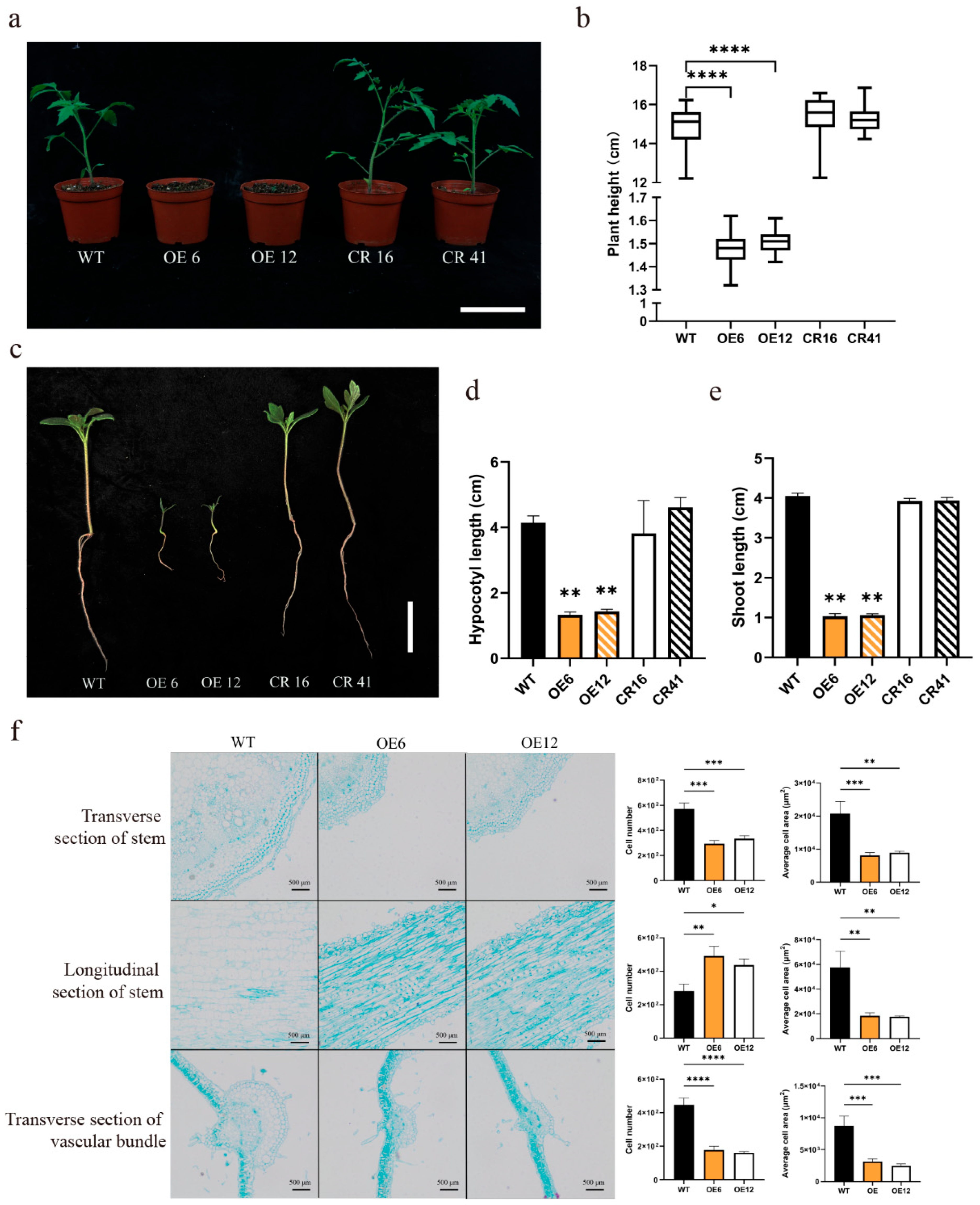 Plants 14 03617 g003