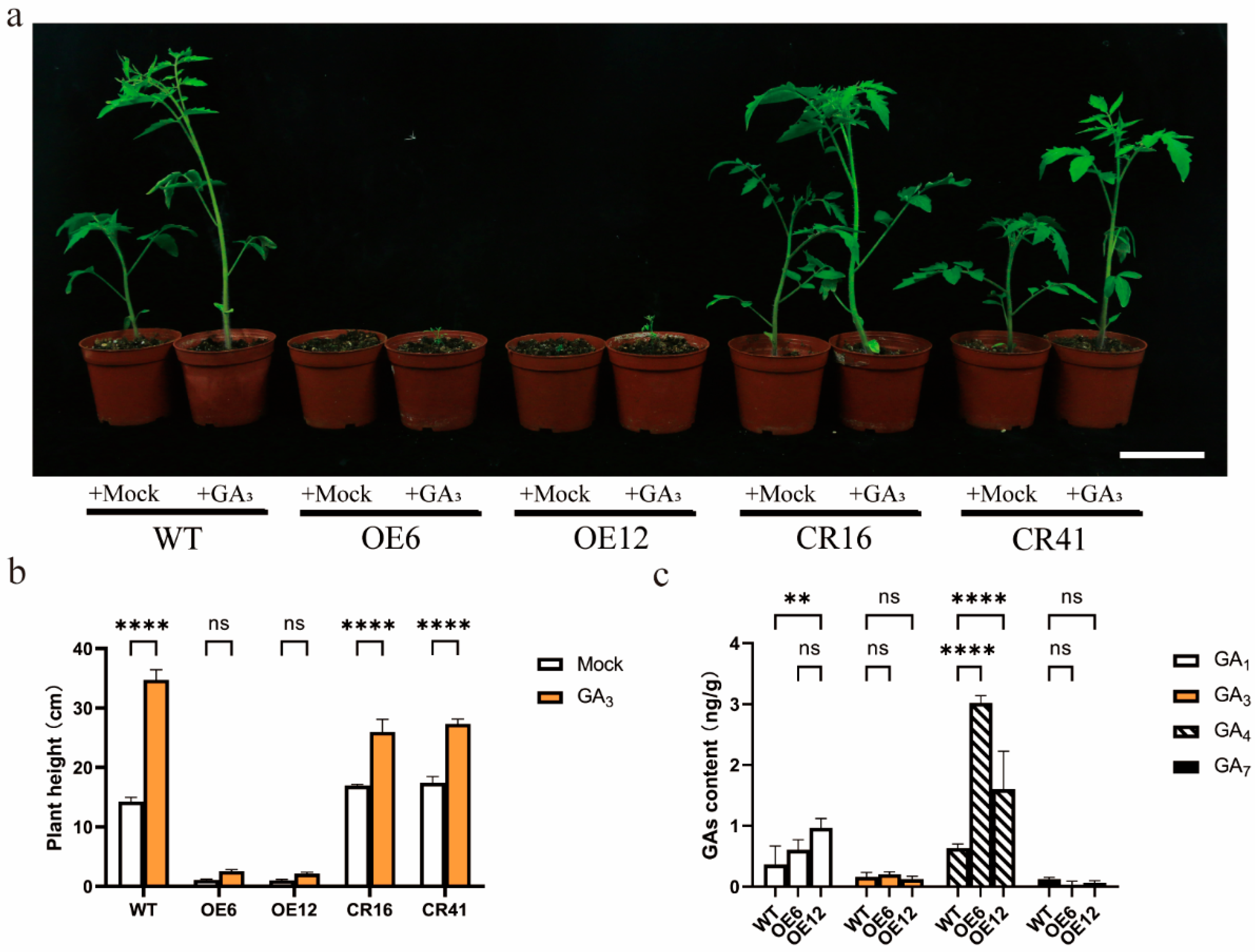 Plants 14 03617 g004