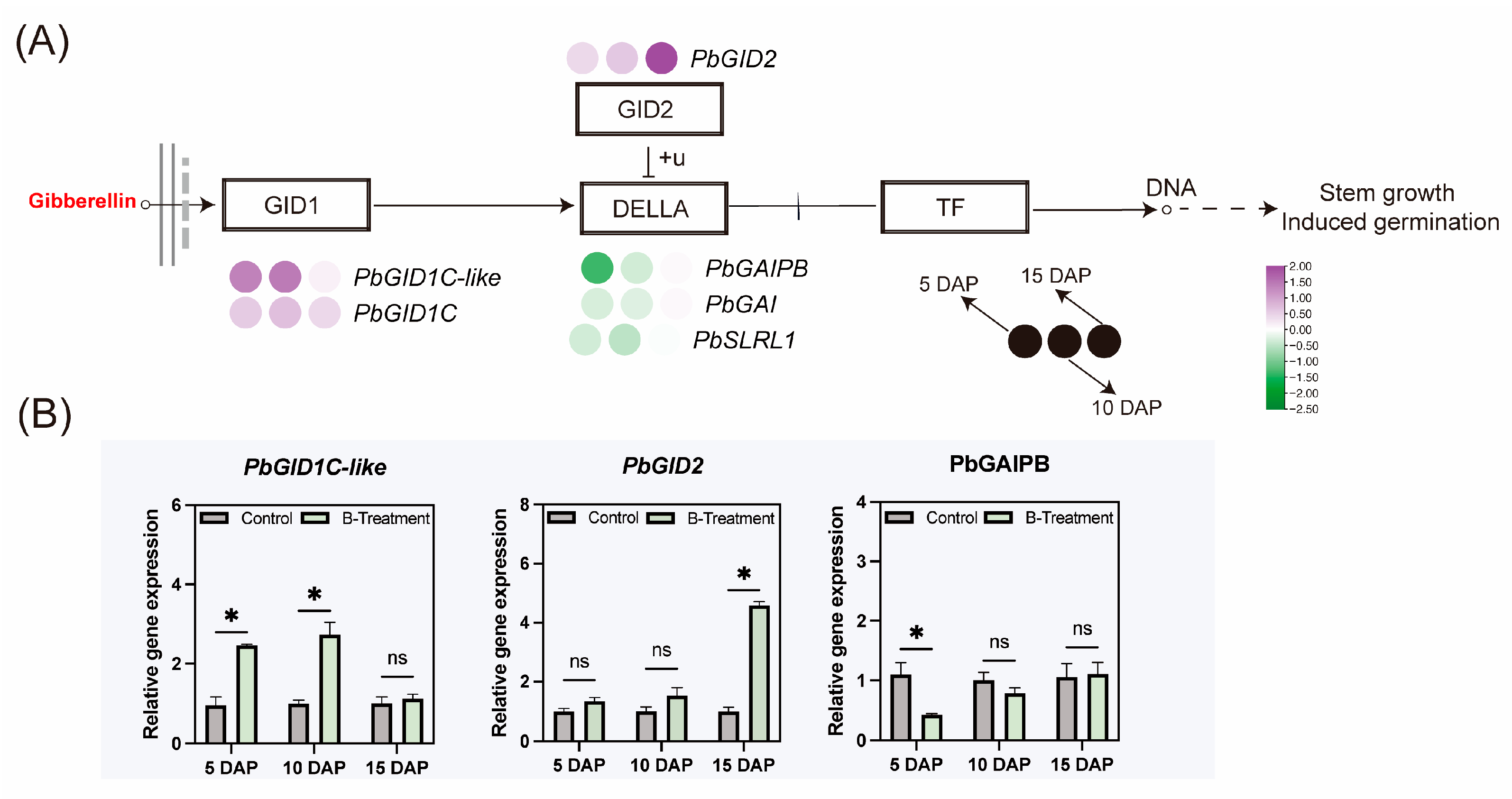 Plants 14 03619 g005