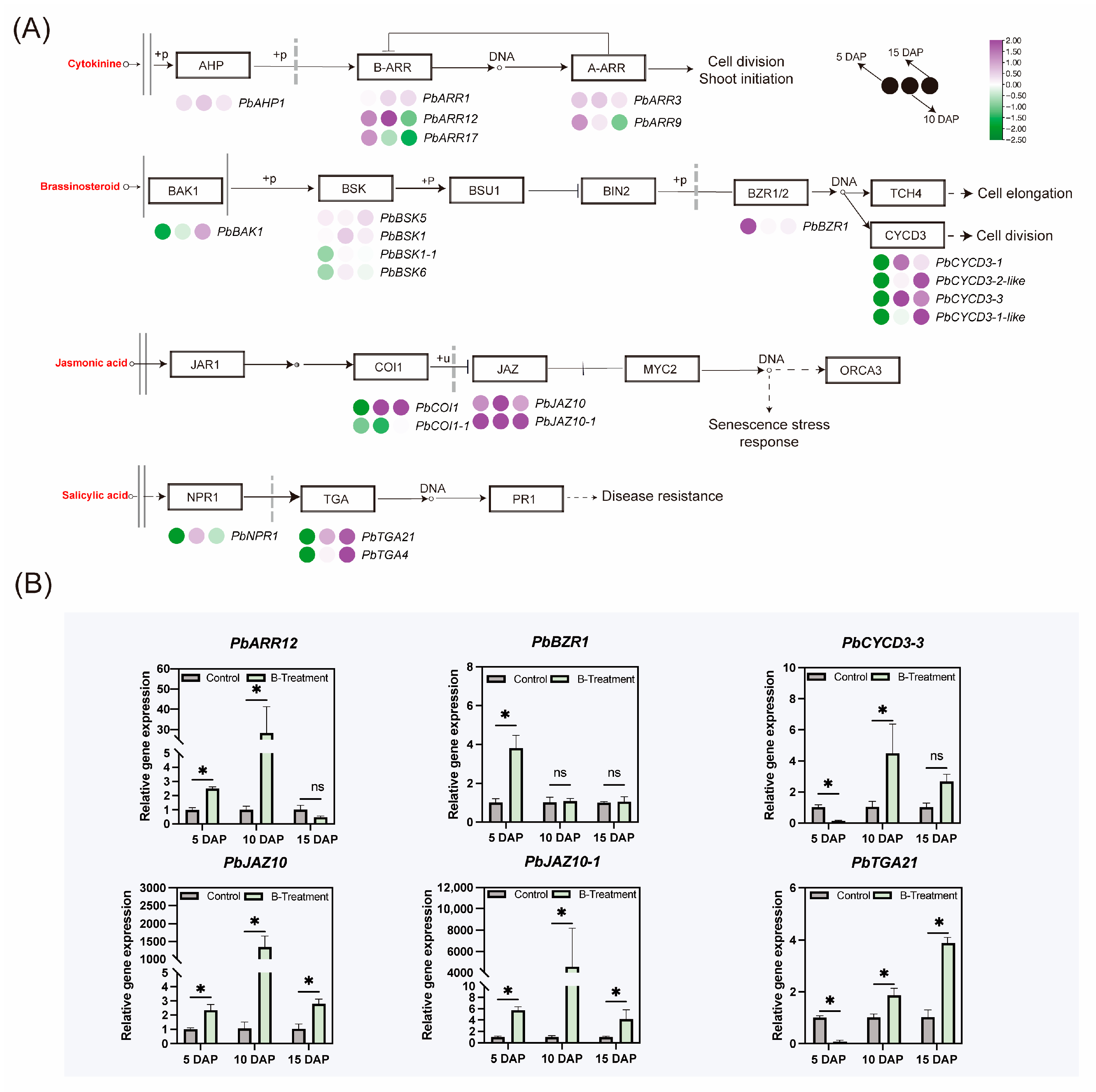 Plants 14 03619 g007
