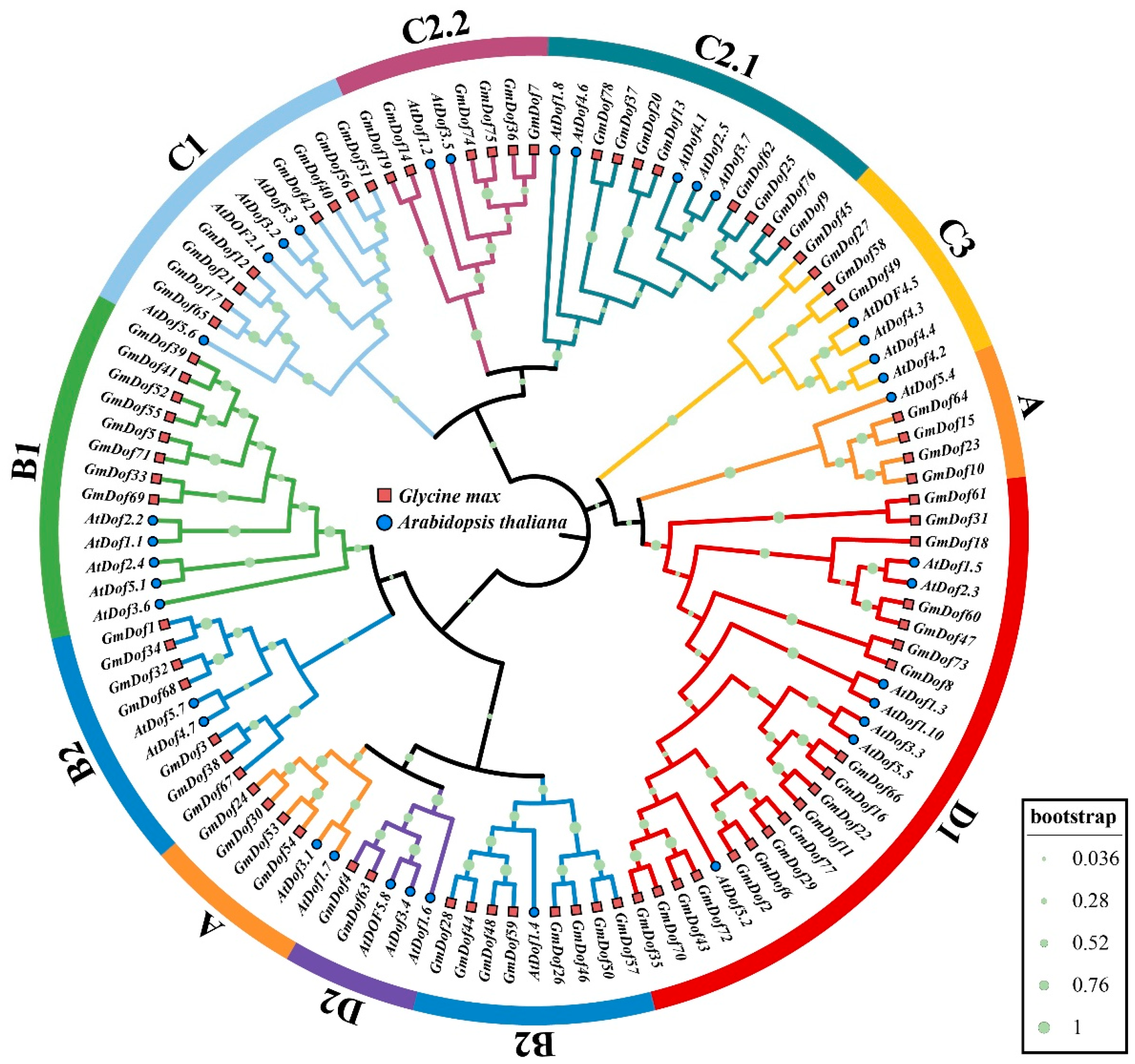 Plants 14 03621 g002