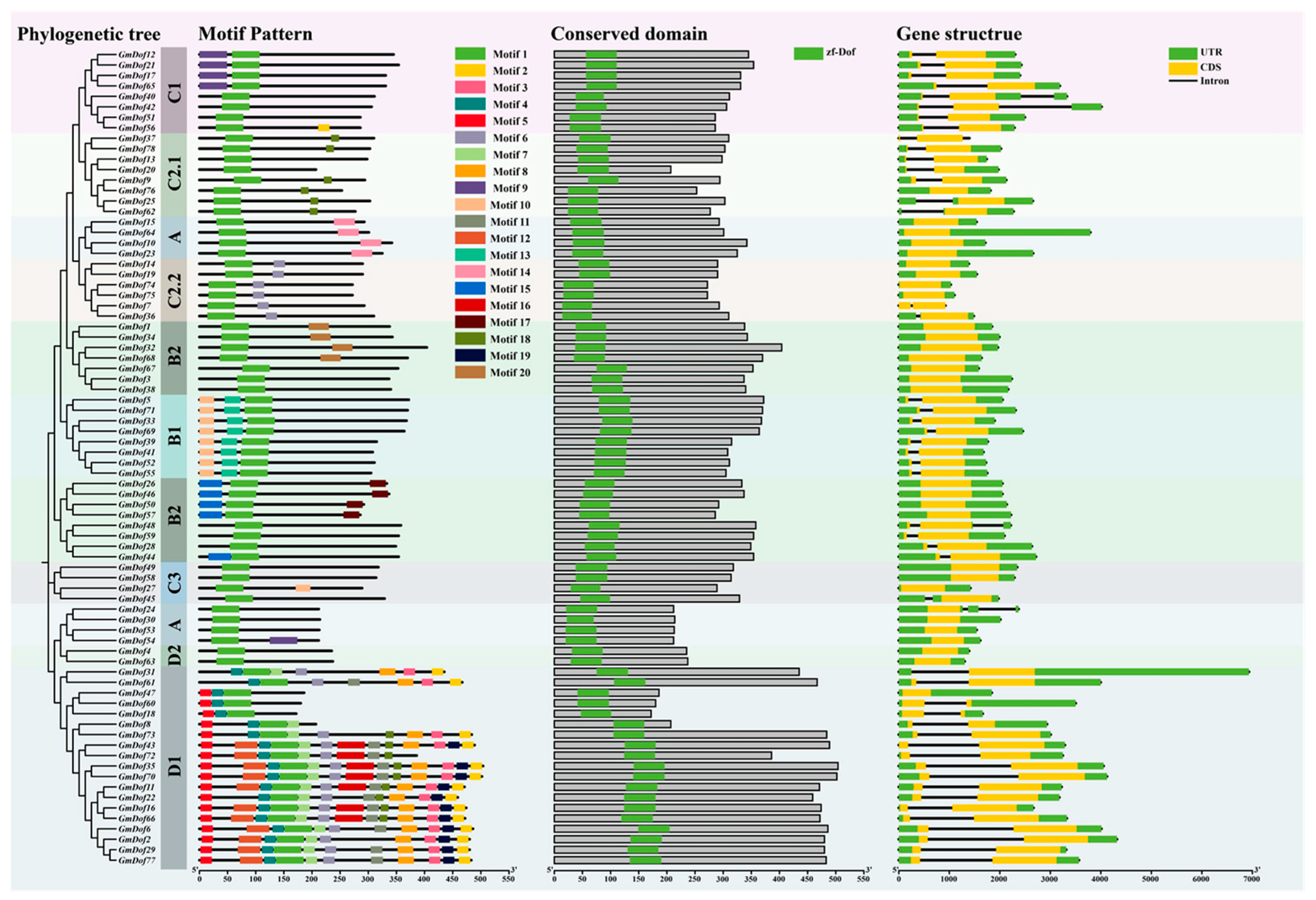 Plants 14 03621 g003