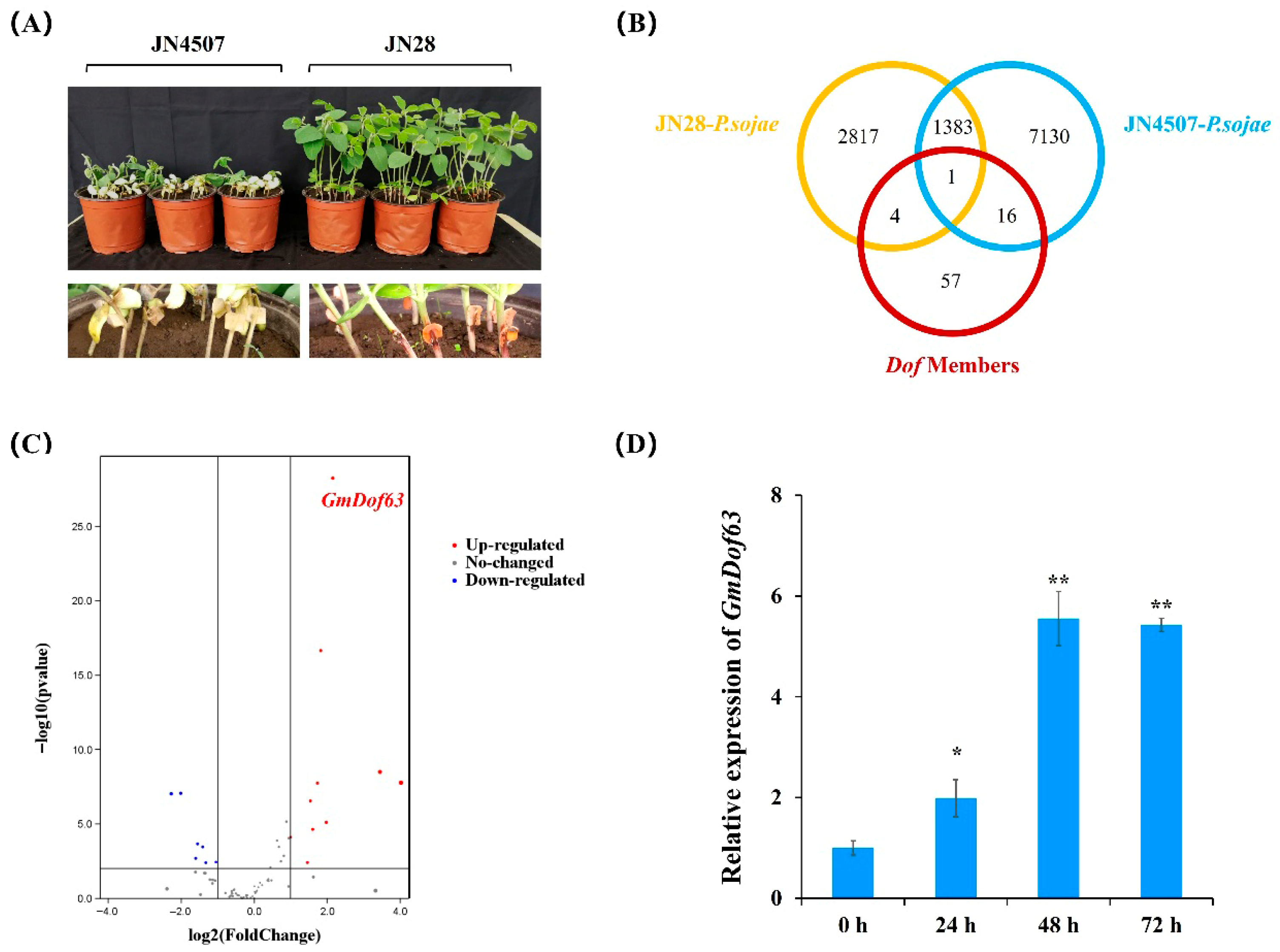 Plants 14 03621 g007