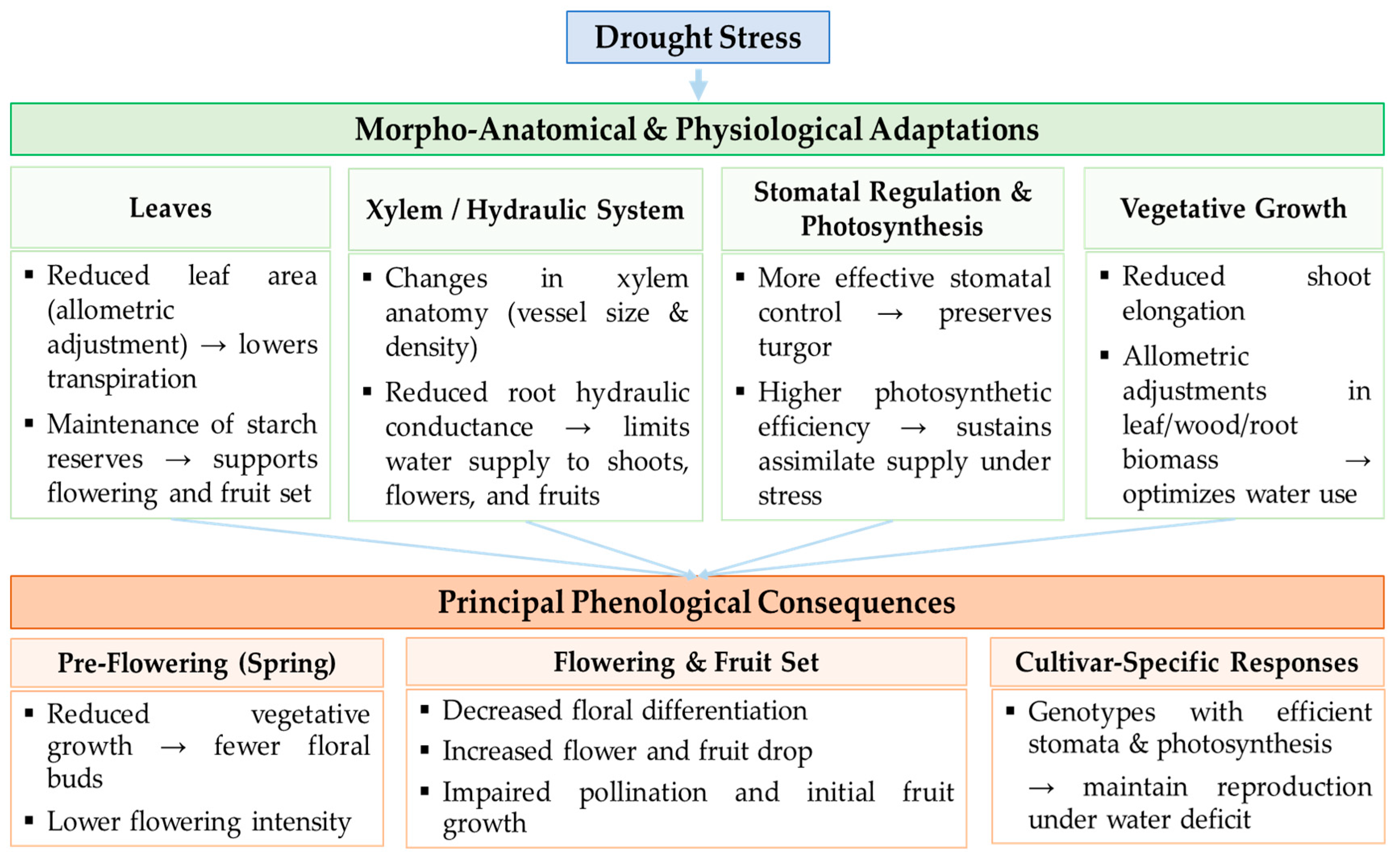 Plants 14 03624 g001