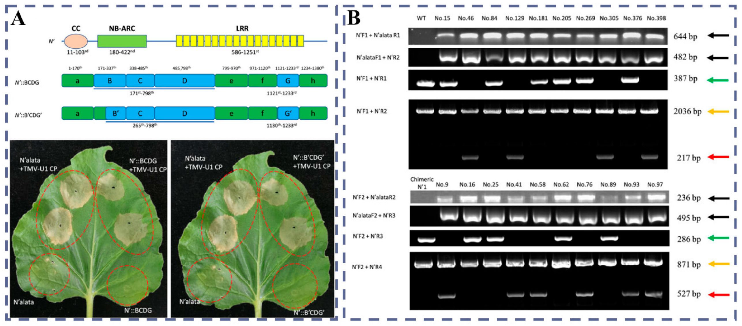 Plants 14 03625 g003